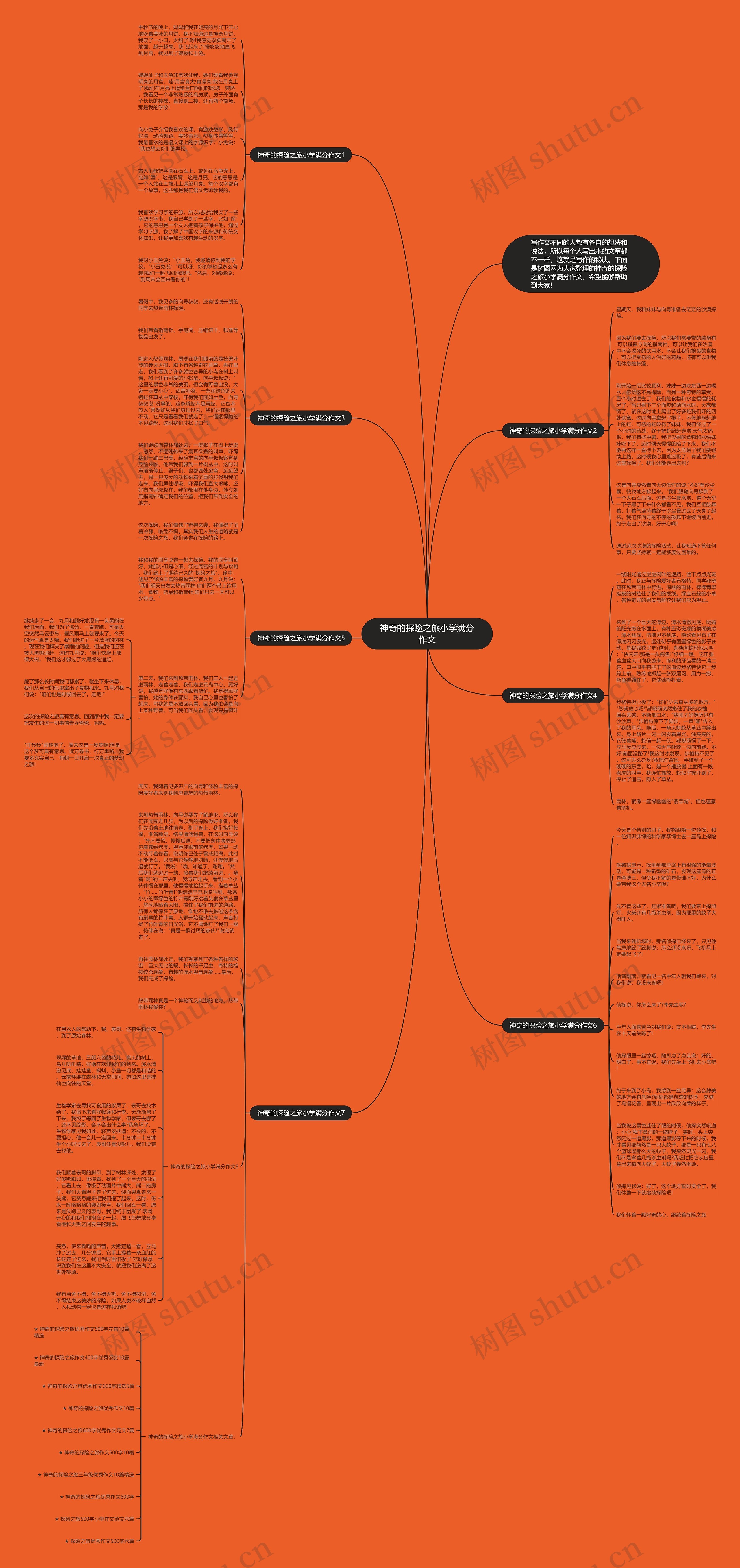 神奇的探险之旅小学满分作文思维导图