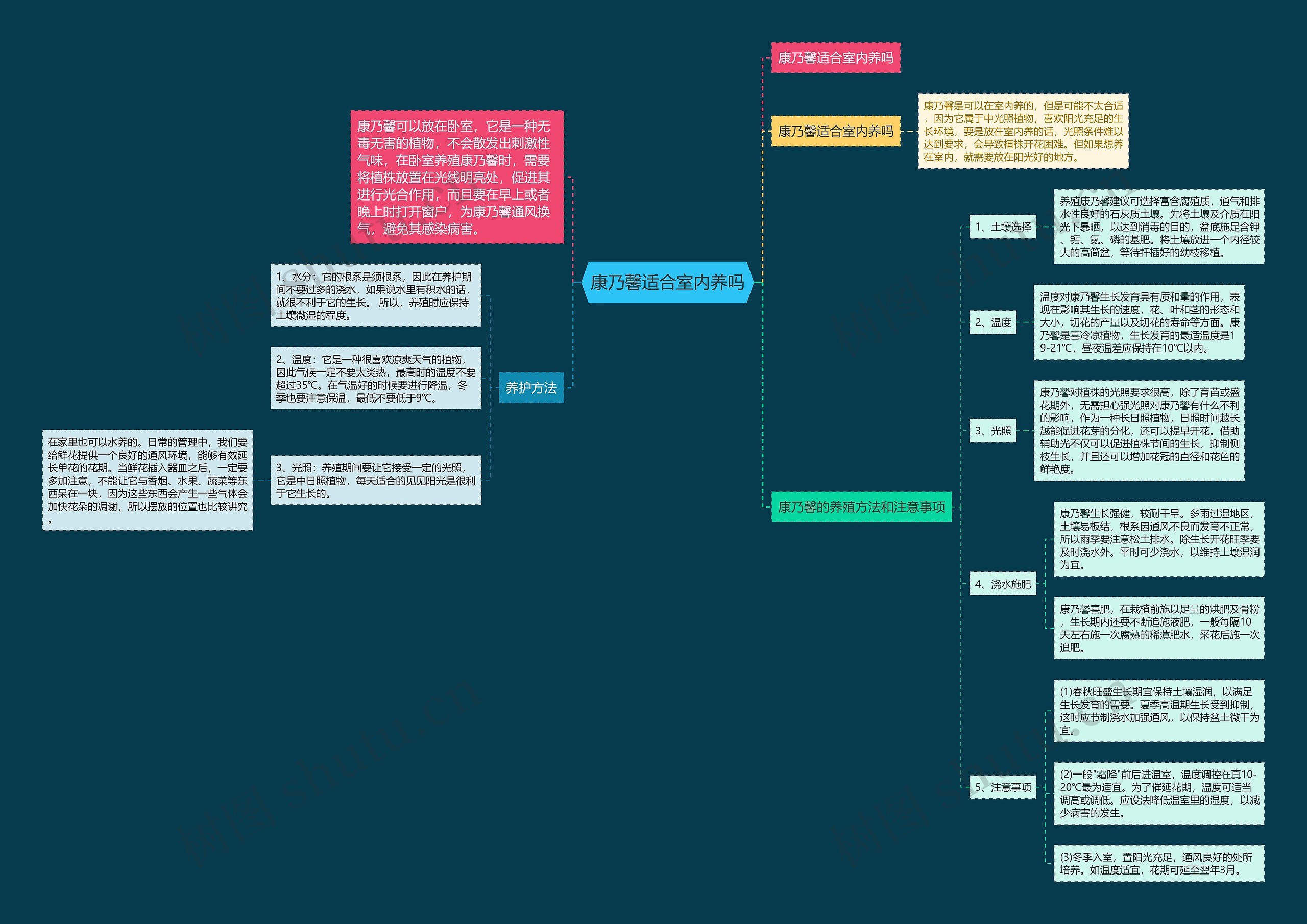 康乃馨适合室内养吗思维导图