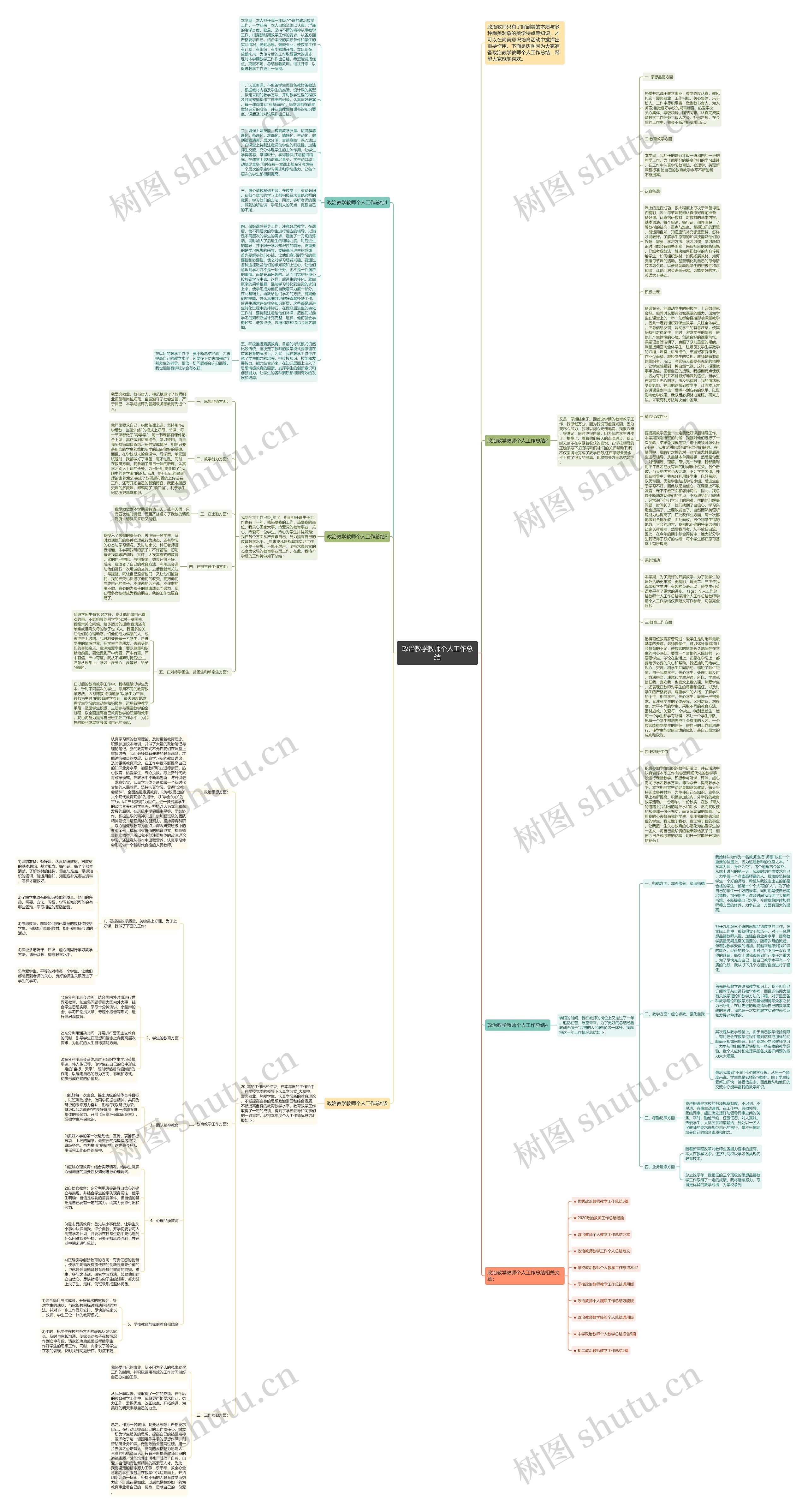 政治教学教师个人工作总结思维导图