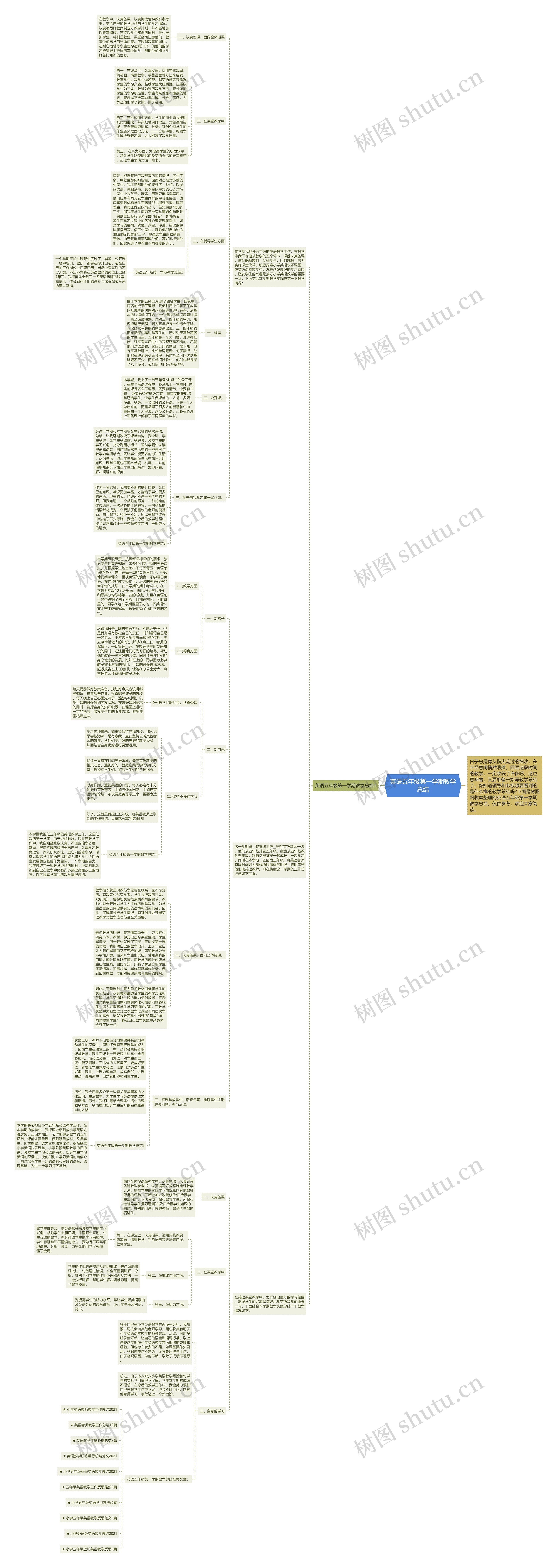 英语五年级第一学期教学总结思维导图