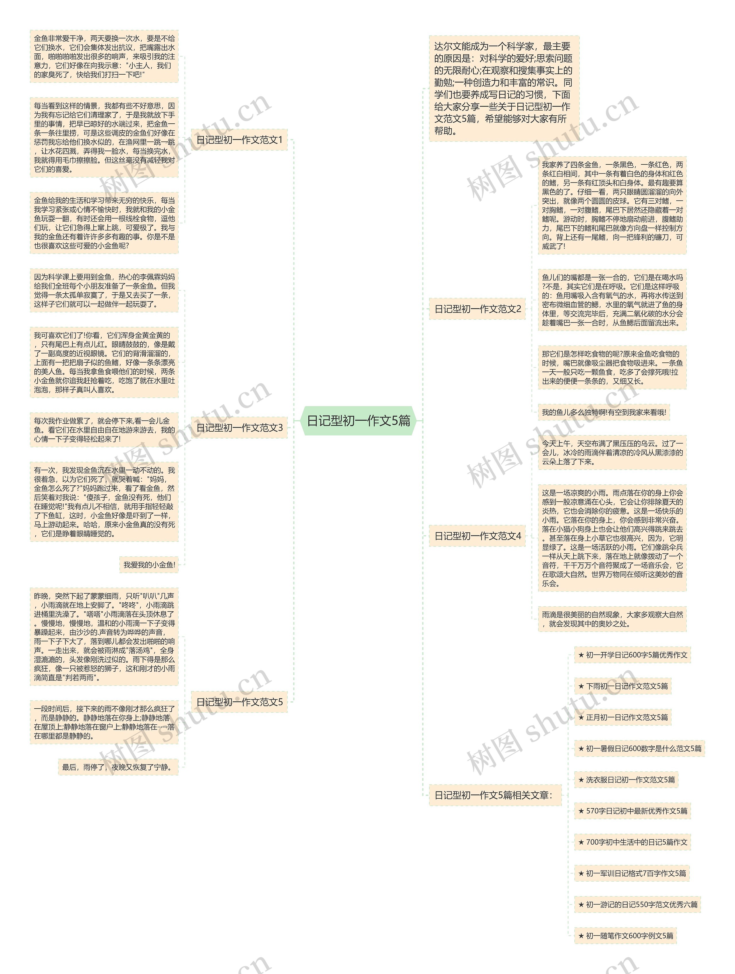 日记型初一作文5篇思维导图