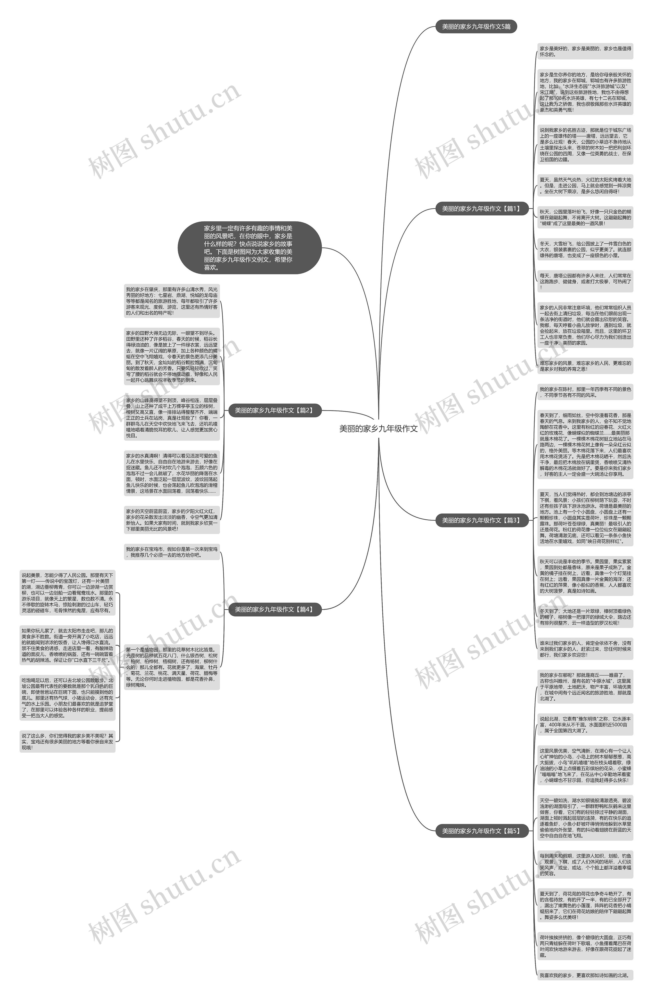 美丽的家乡九年级作文思维导图