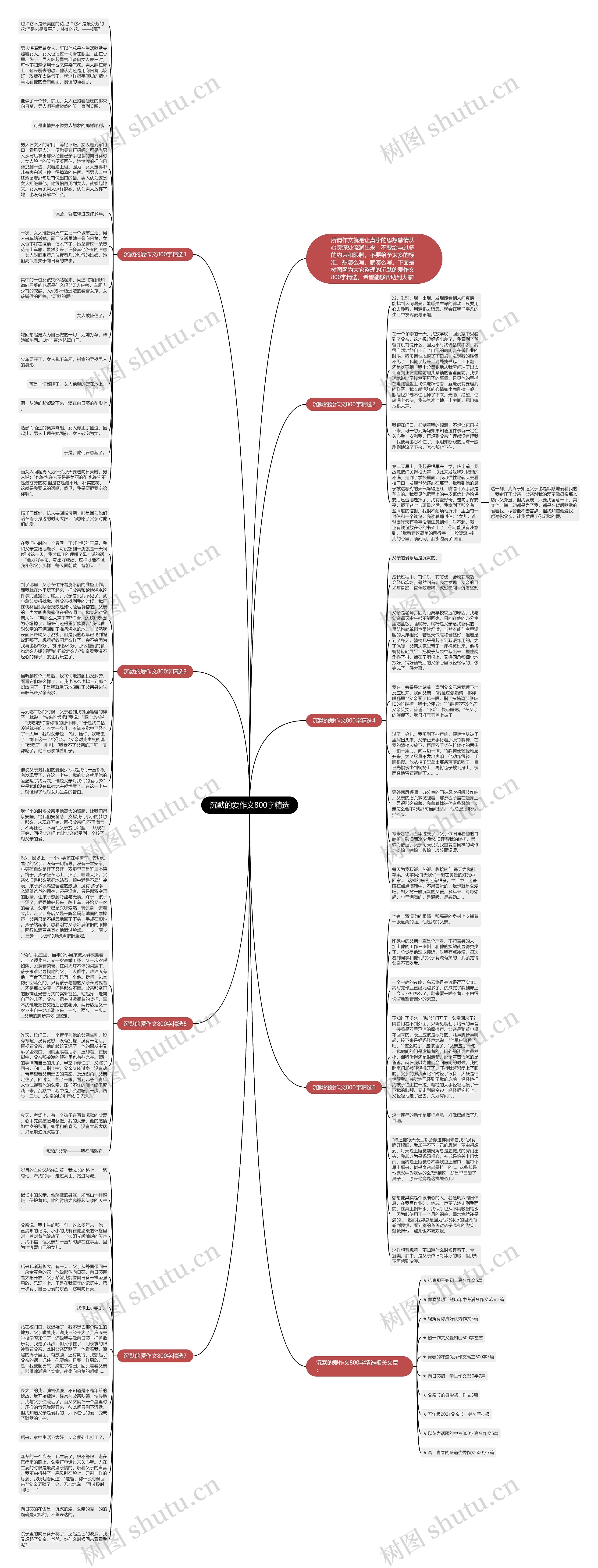 沉默的爱作文800字精选思维导图