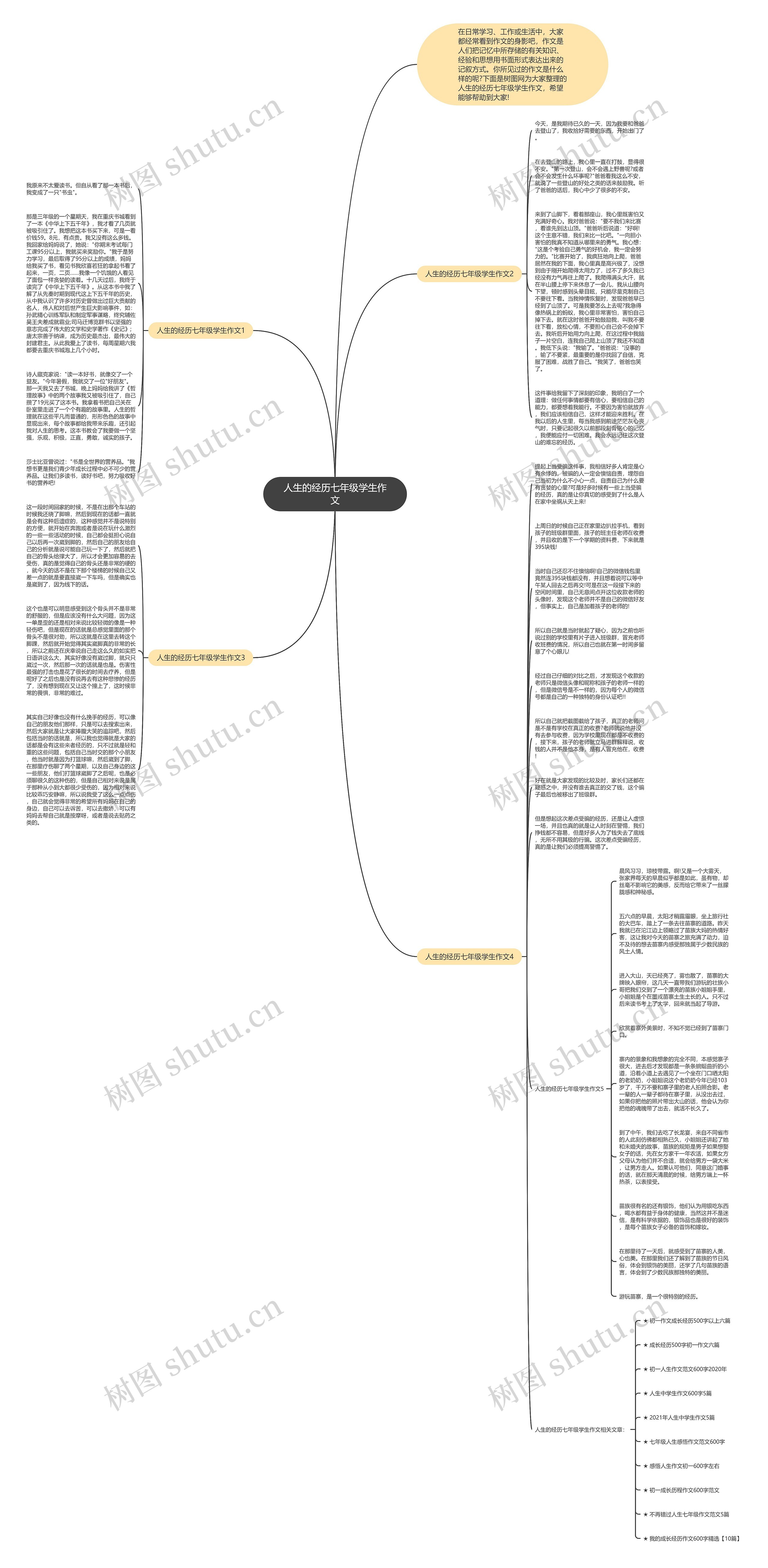 人生的经历七年级学生作文思维导图