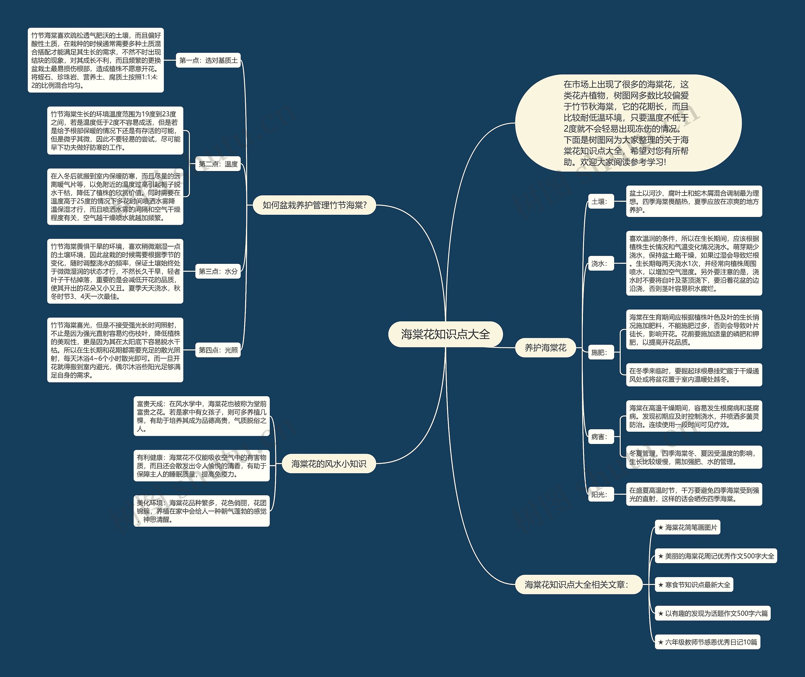 海棠花知识点大全思维导图