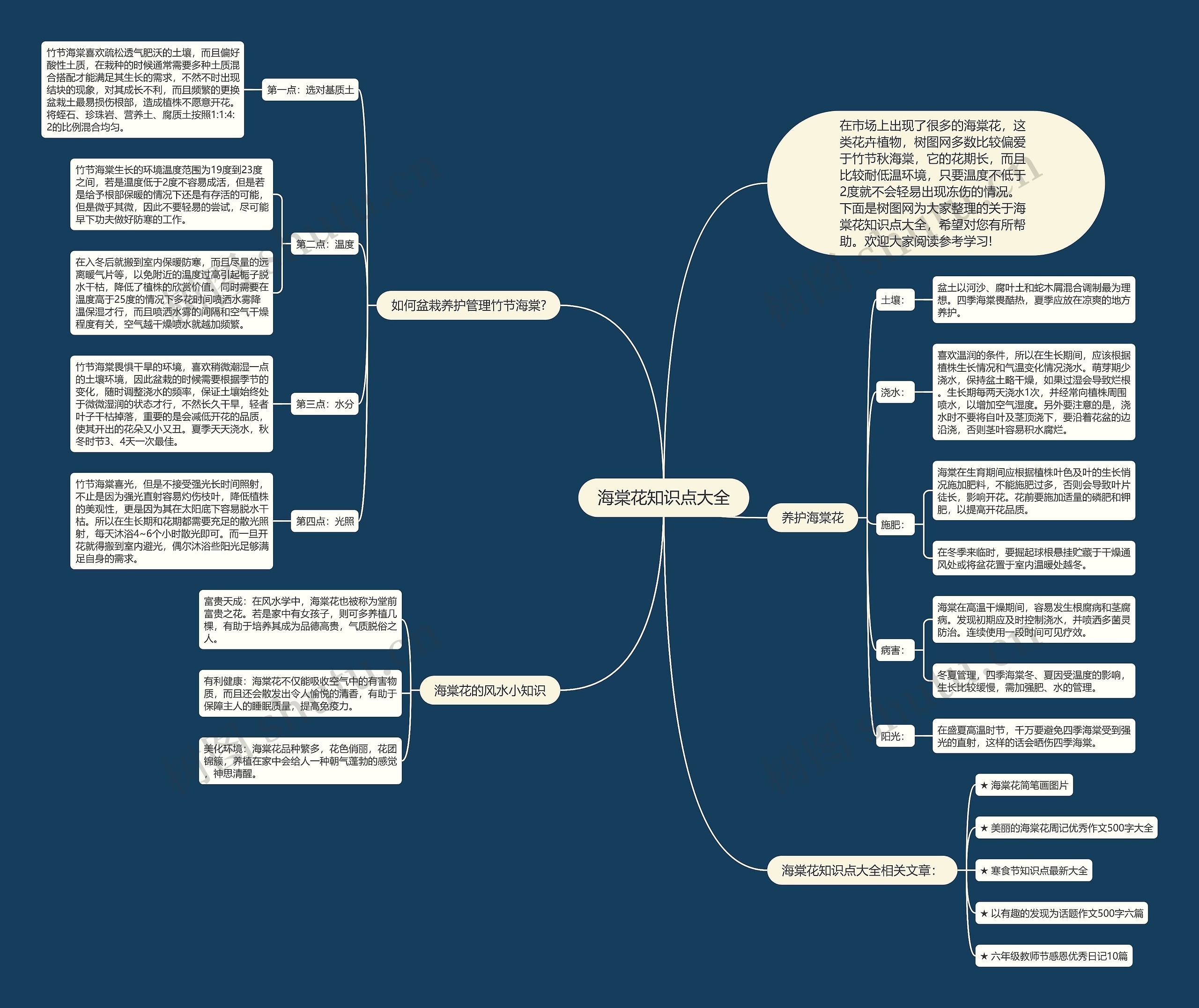 海棠花知识点大全思维导图高清图 海棠花知识点大全思维导图