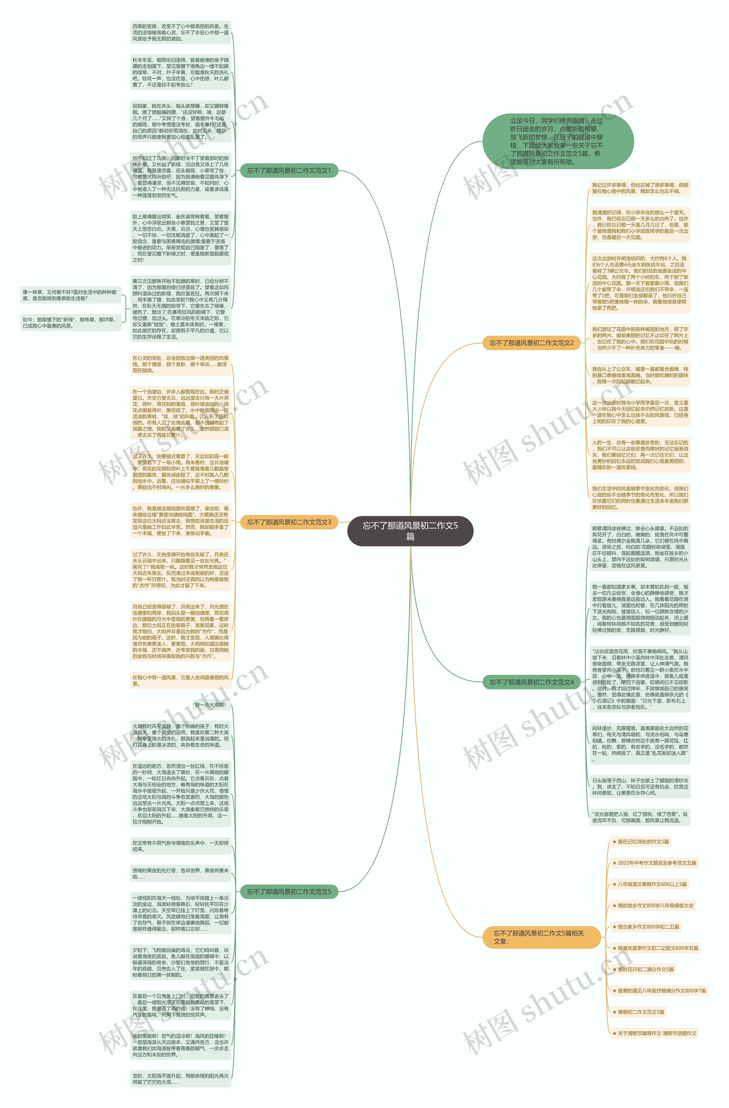 忘不了那道风景初二作文5篇思维导图