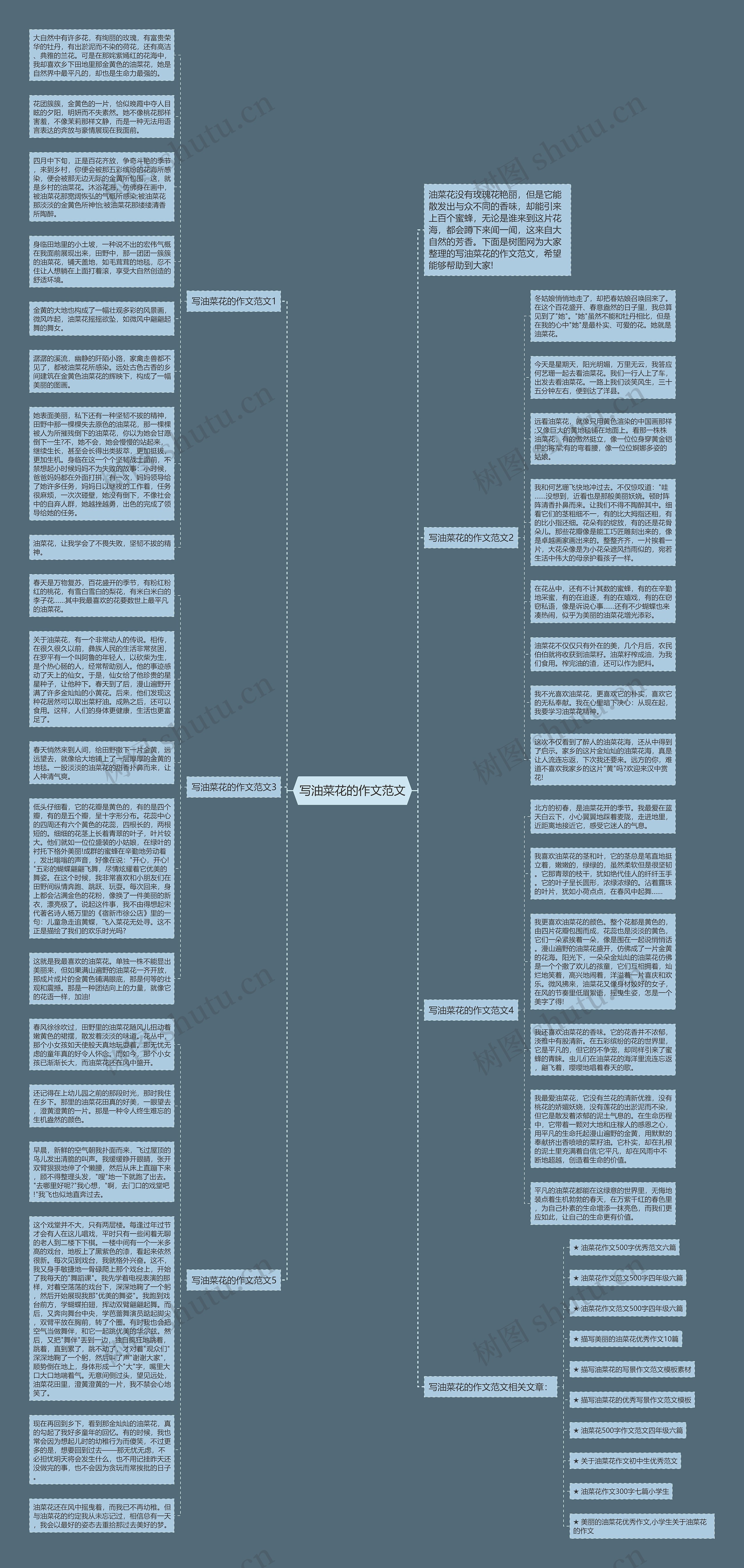 写油菜花的作文范文思维导图