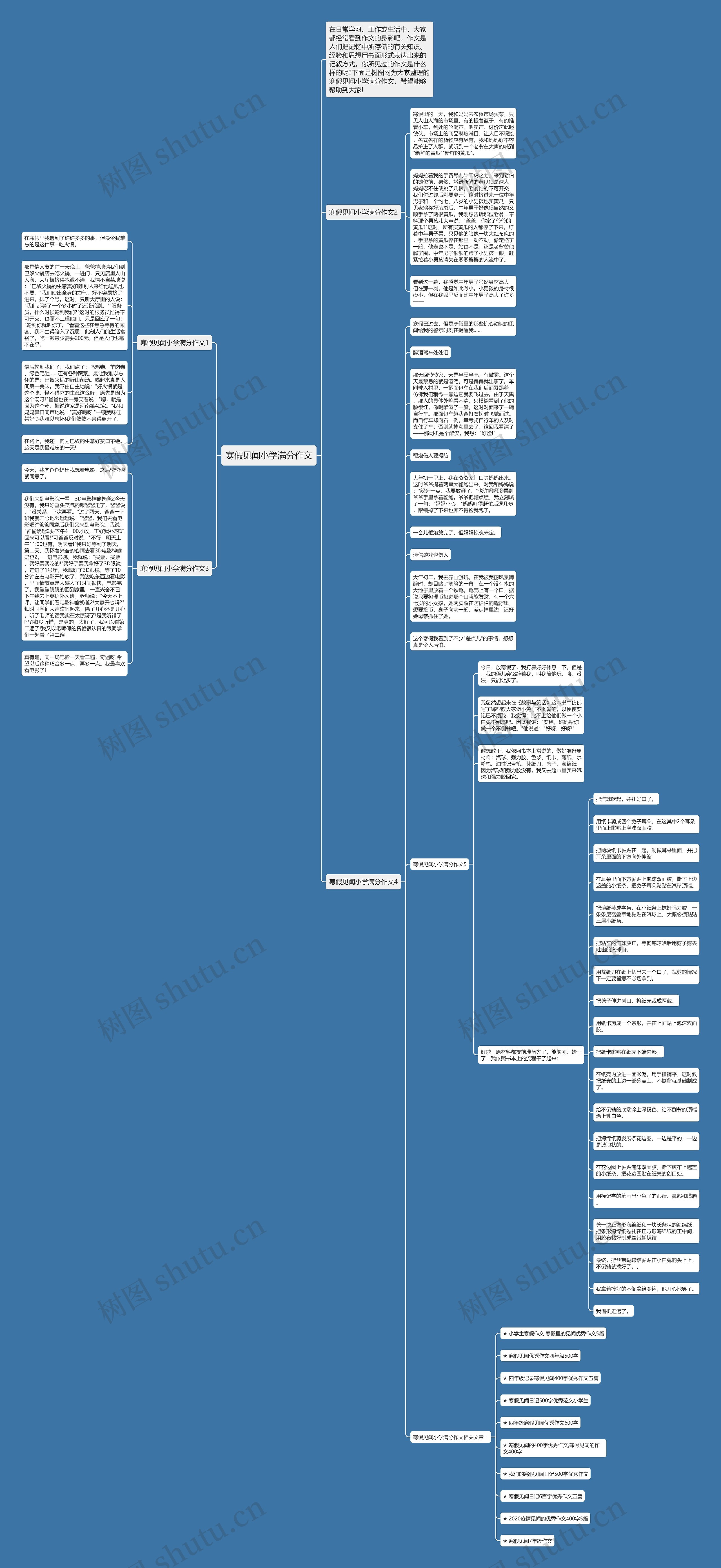 寒假见闻小学满分作文思维导图
