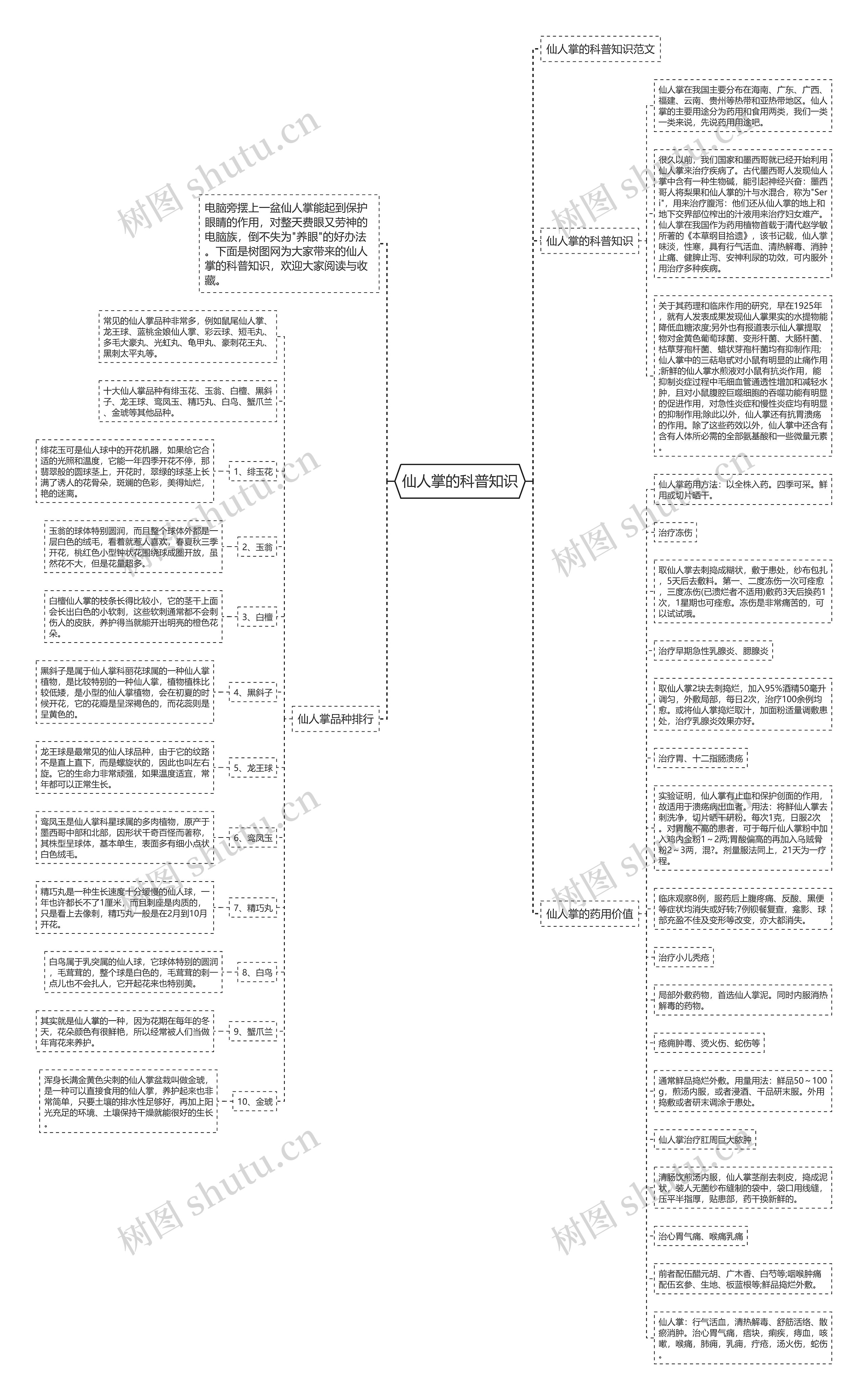 仙人掌的科普知识思维导图