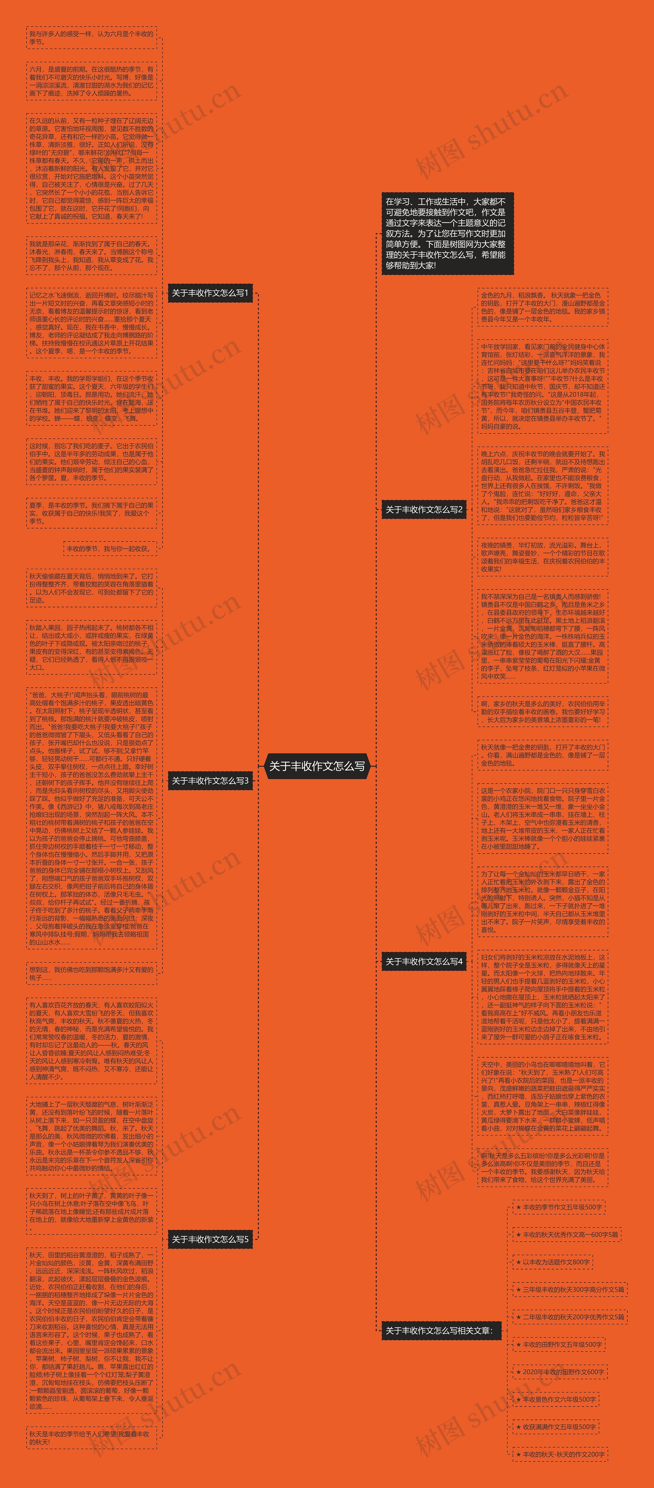 关于丰收作文怎么写思维导图