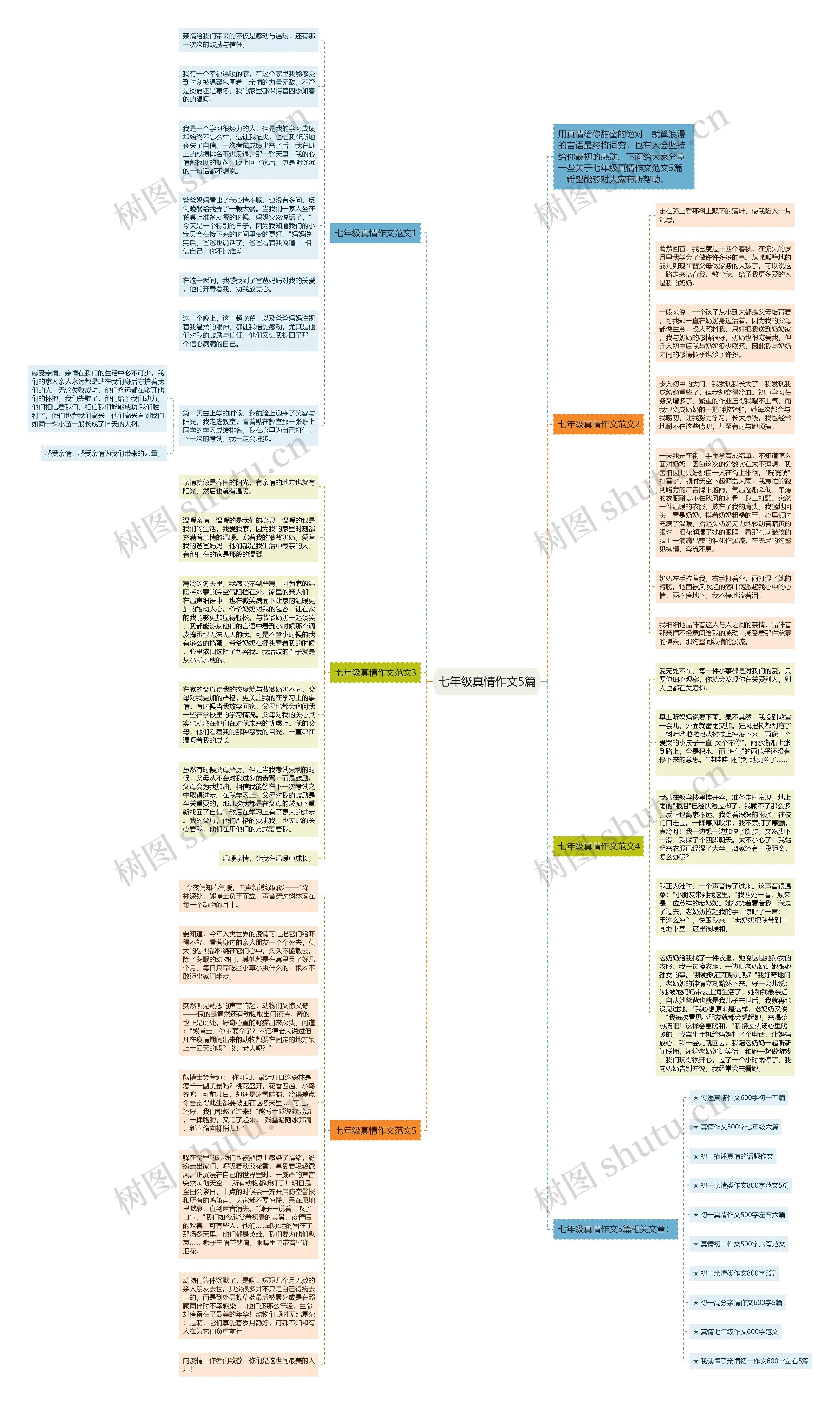 七年级真情作文5篇思维导图