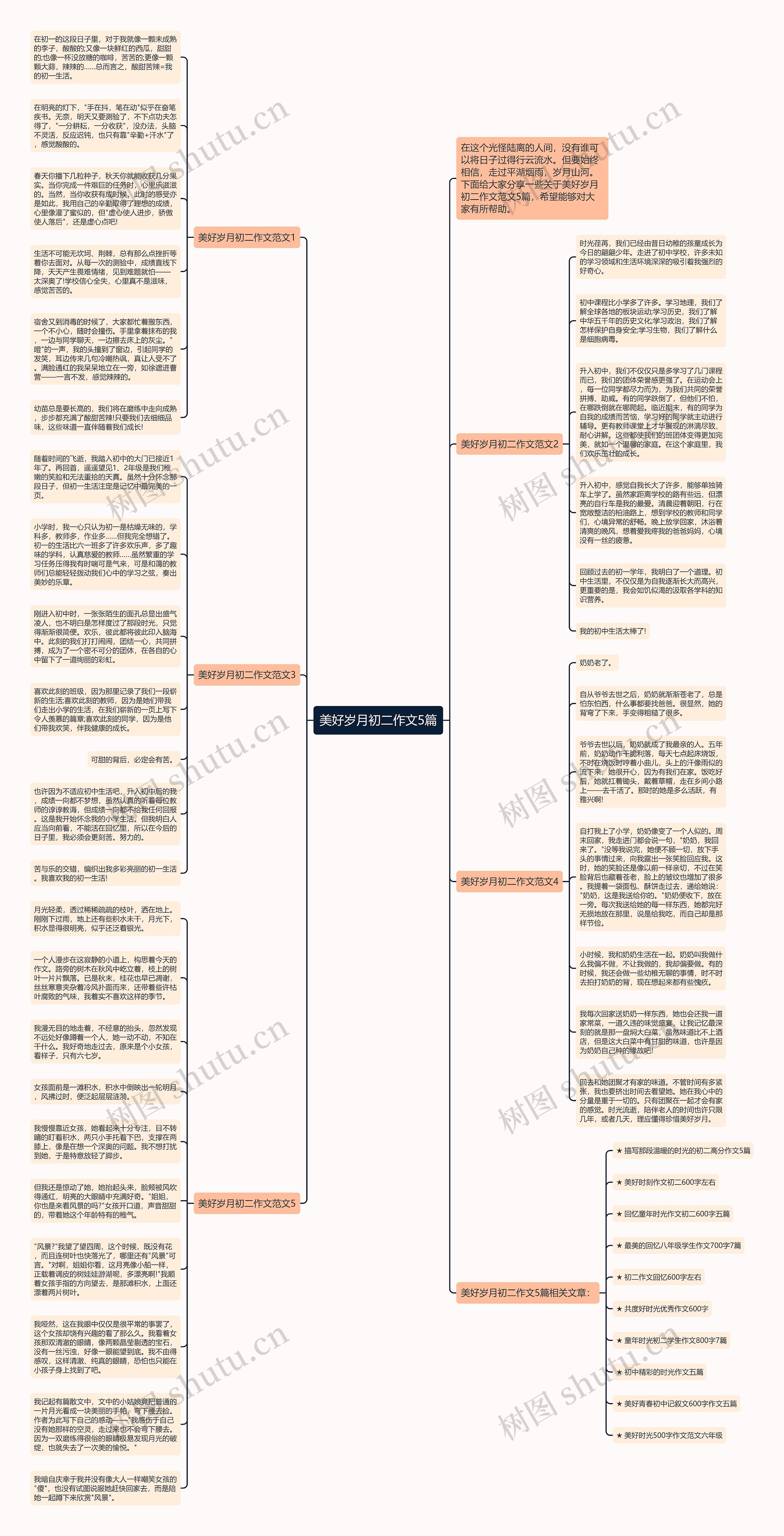 美好岁月初二作文5篇思维导图