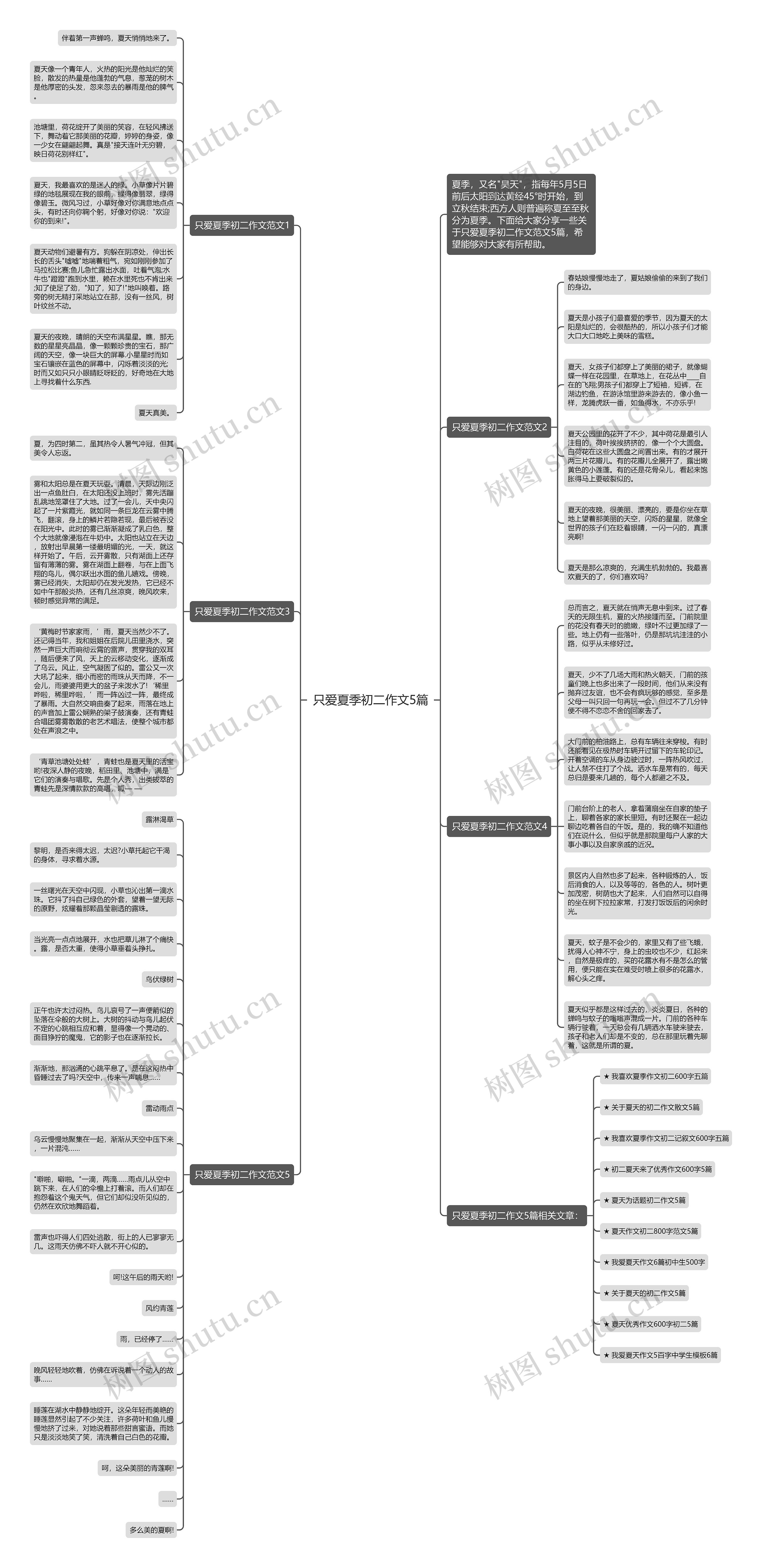 只爱夏季初二作文5篇思维导图