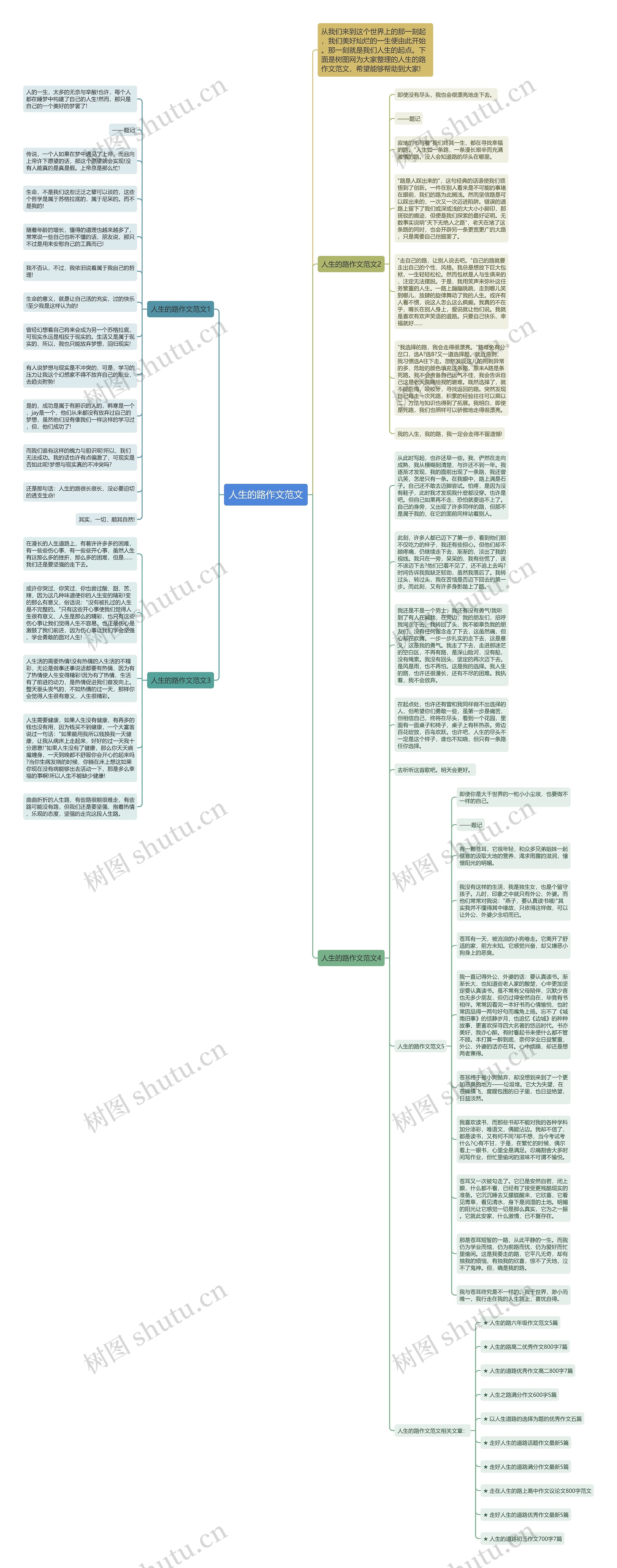 人生的路作文范文思维导图