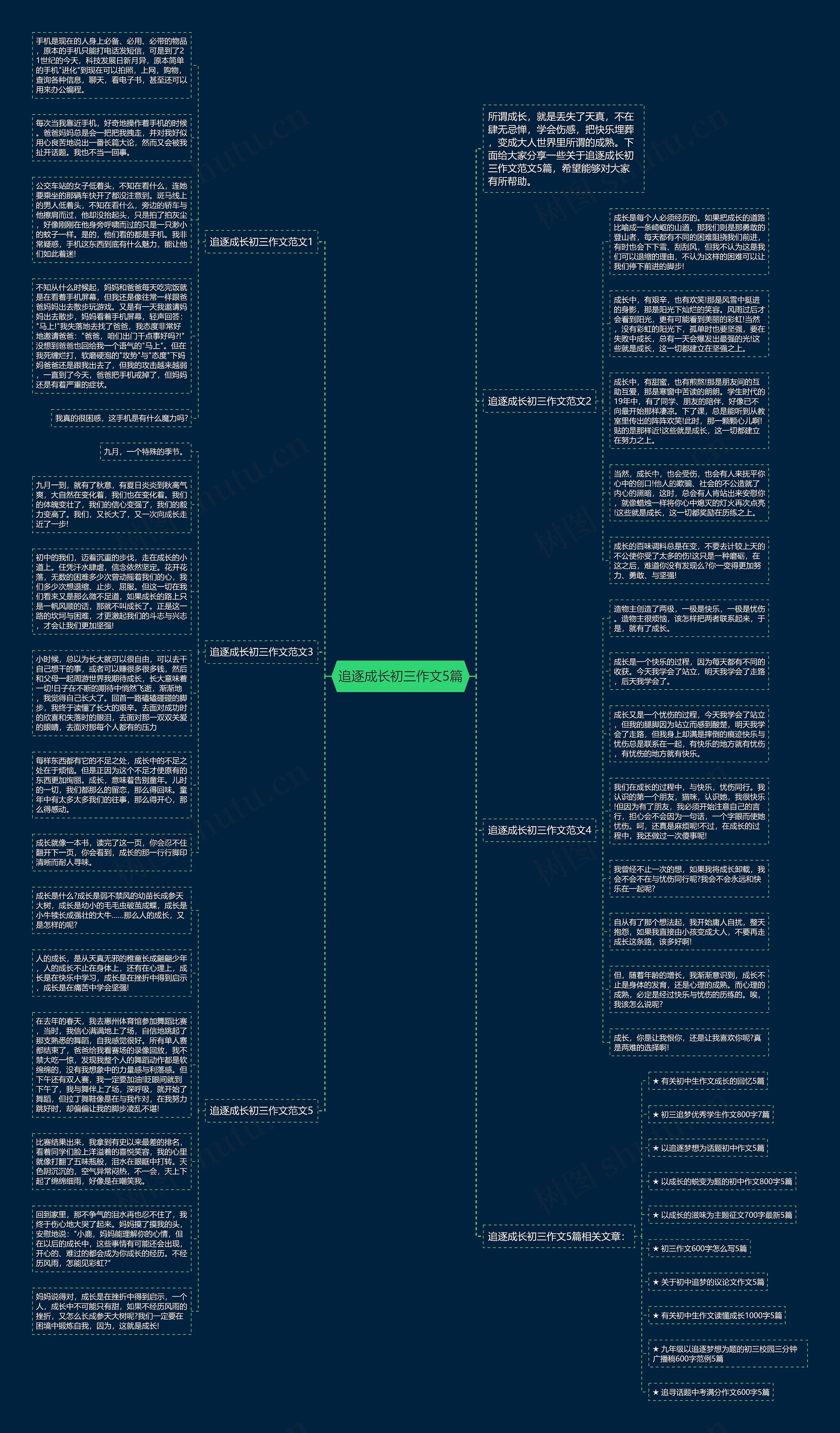 追逐成长初三作文5篇思维导图