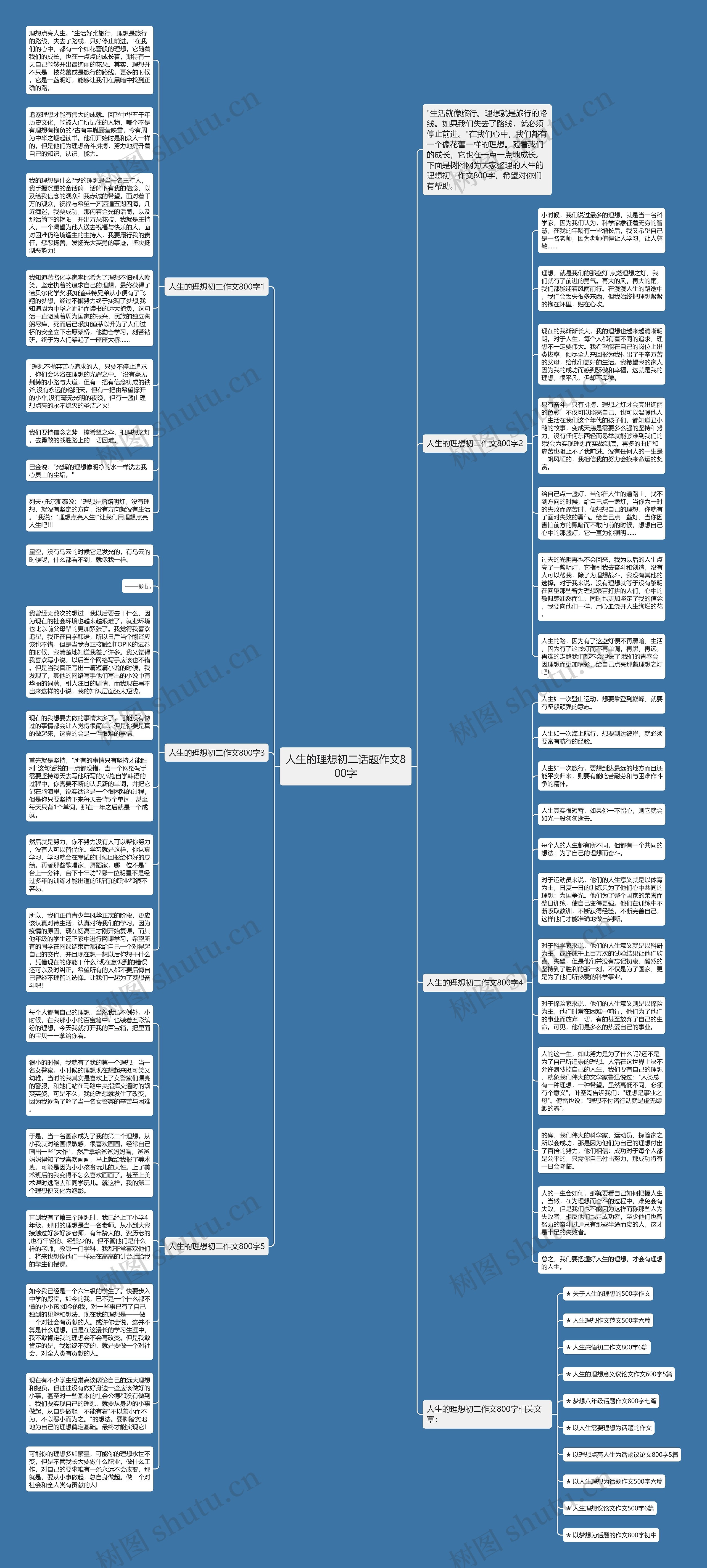 人生的理想初二话题作文800字思维导图