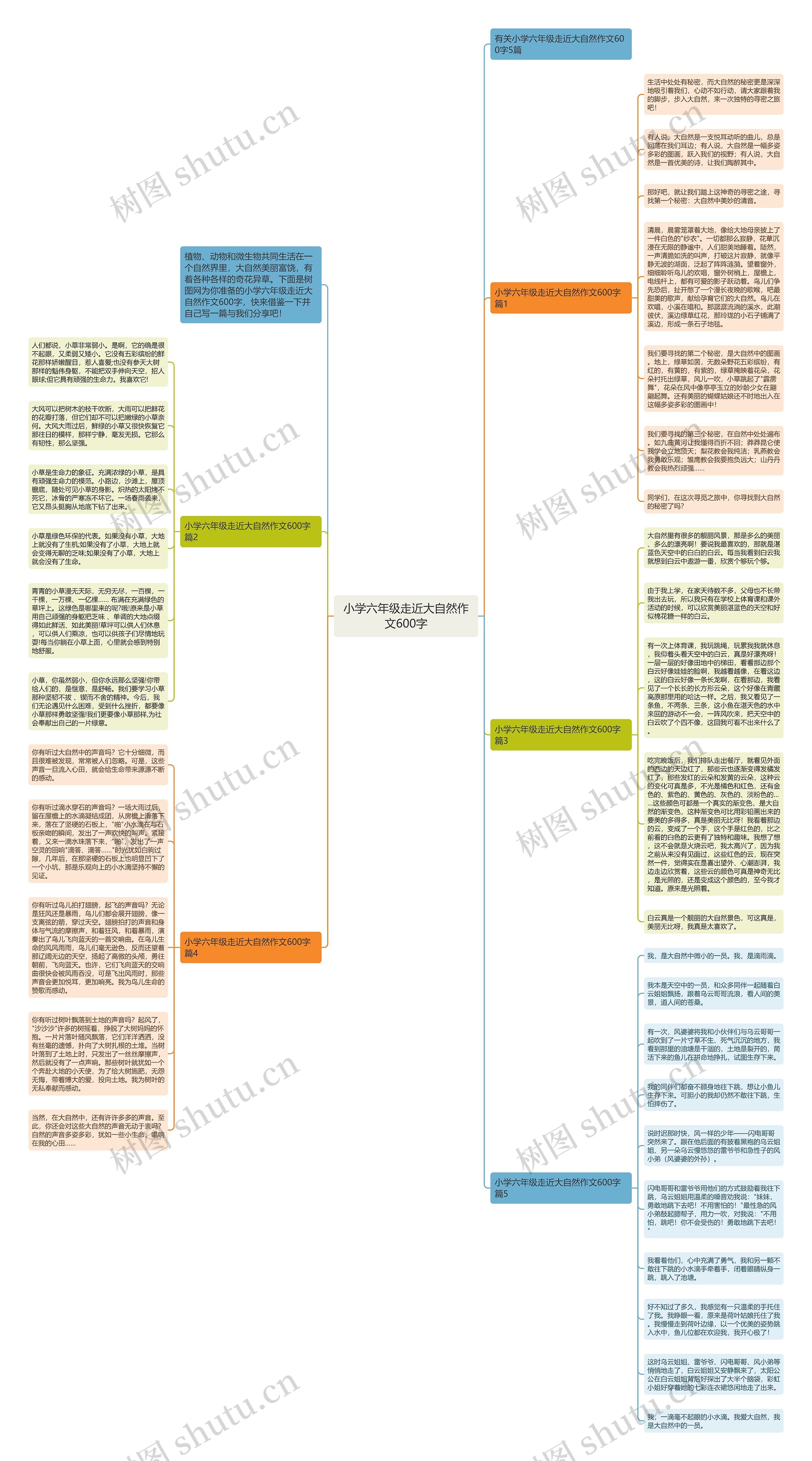 小学六年级走近大自然作文600字思维导图高清图 小学六年级走近大自然作文600字思维导图