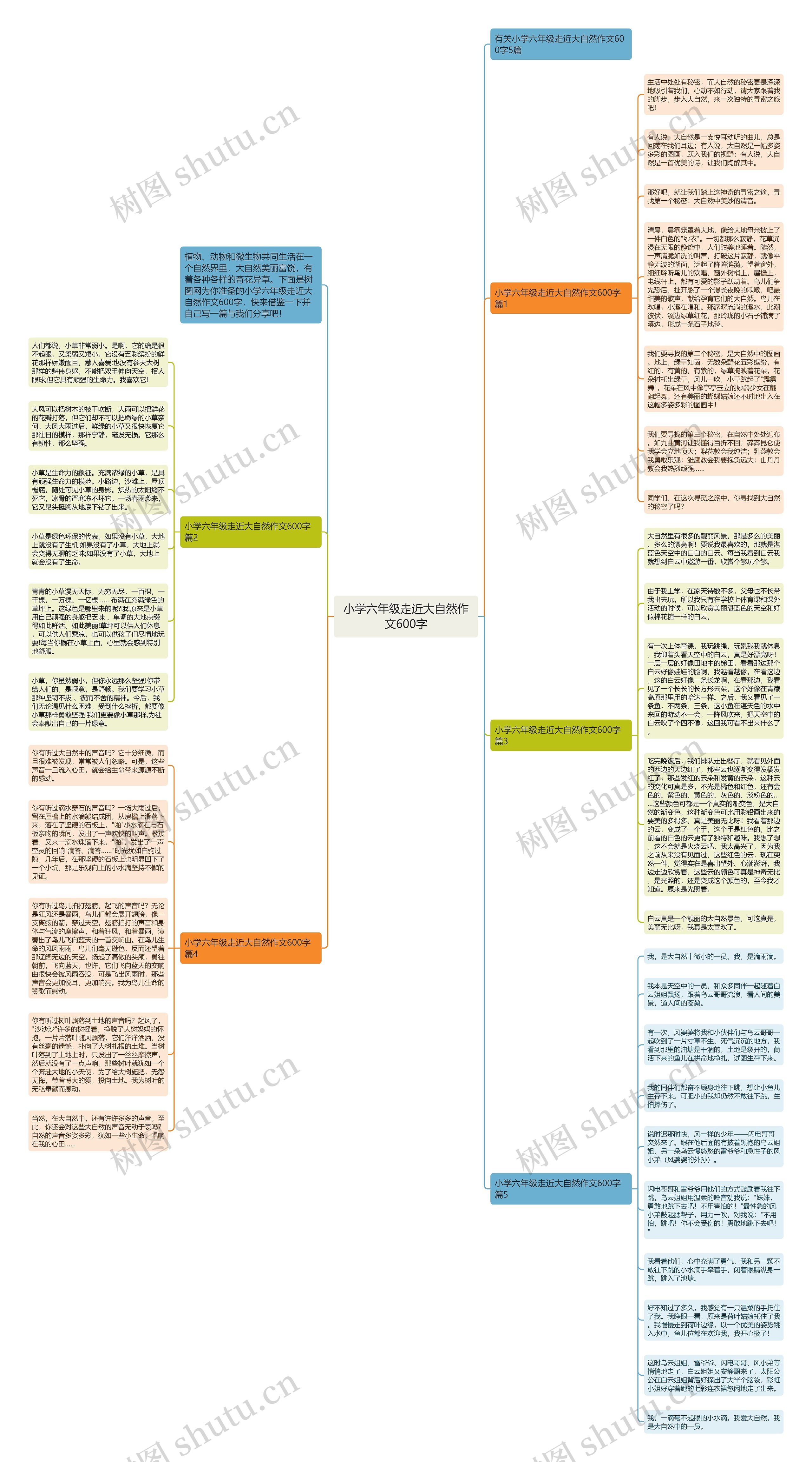 小学六年级走近大自然作文600字思维导图
