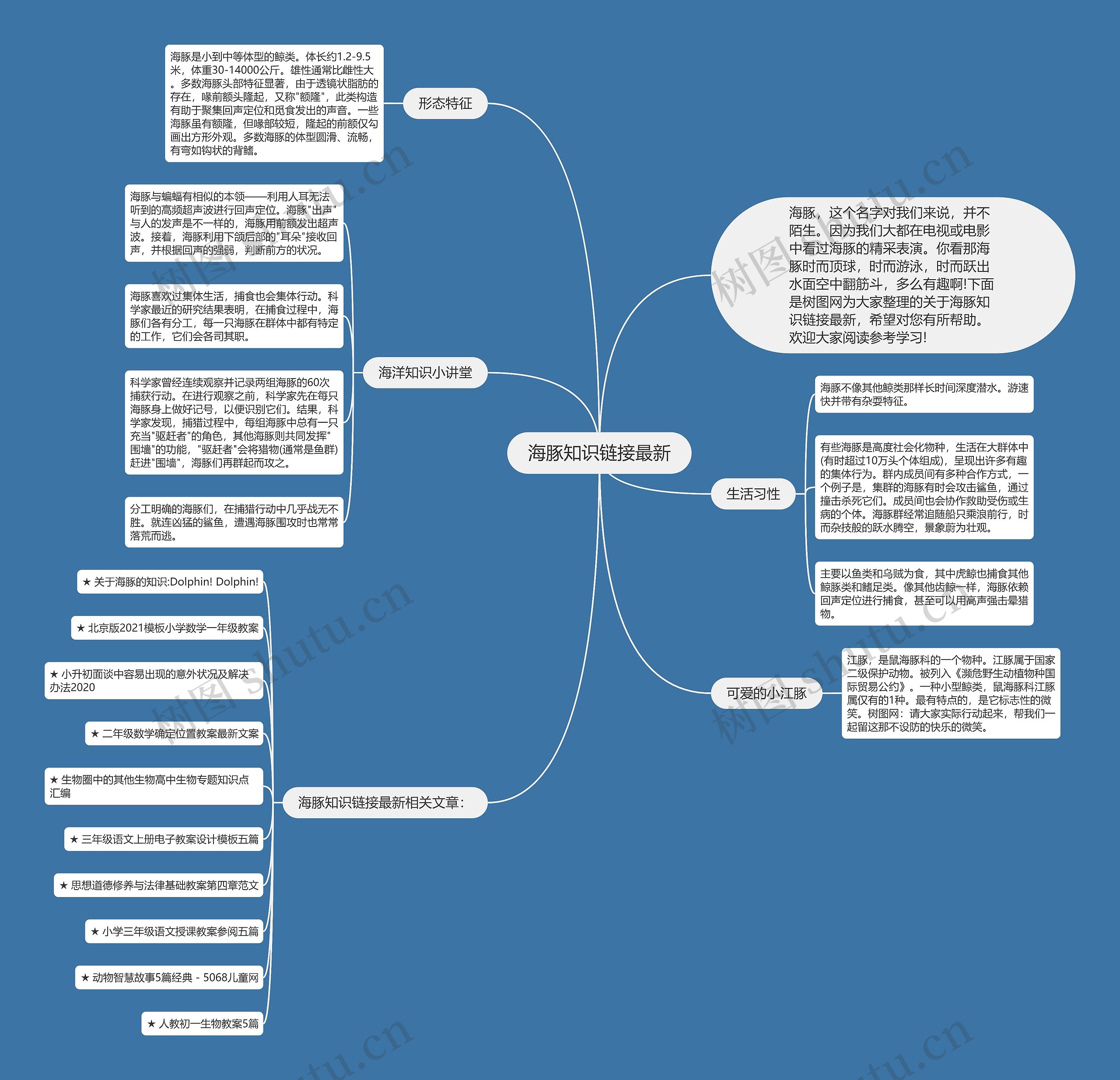 海豚知识链接最新思维导图
