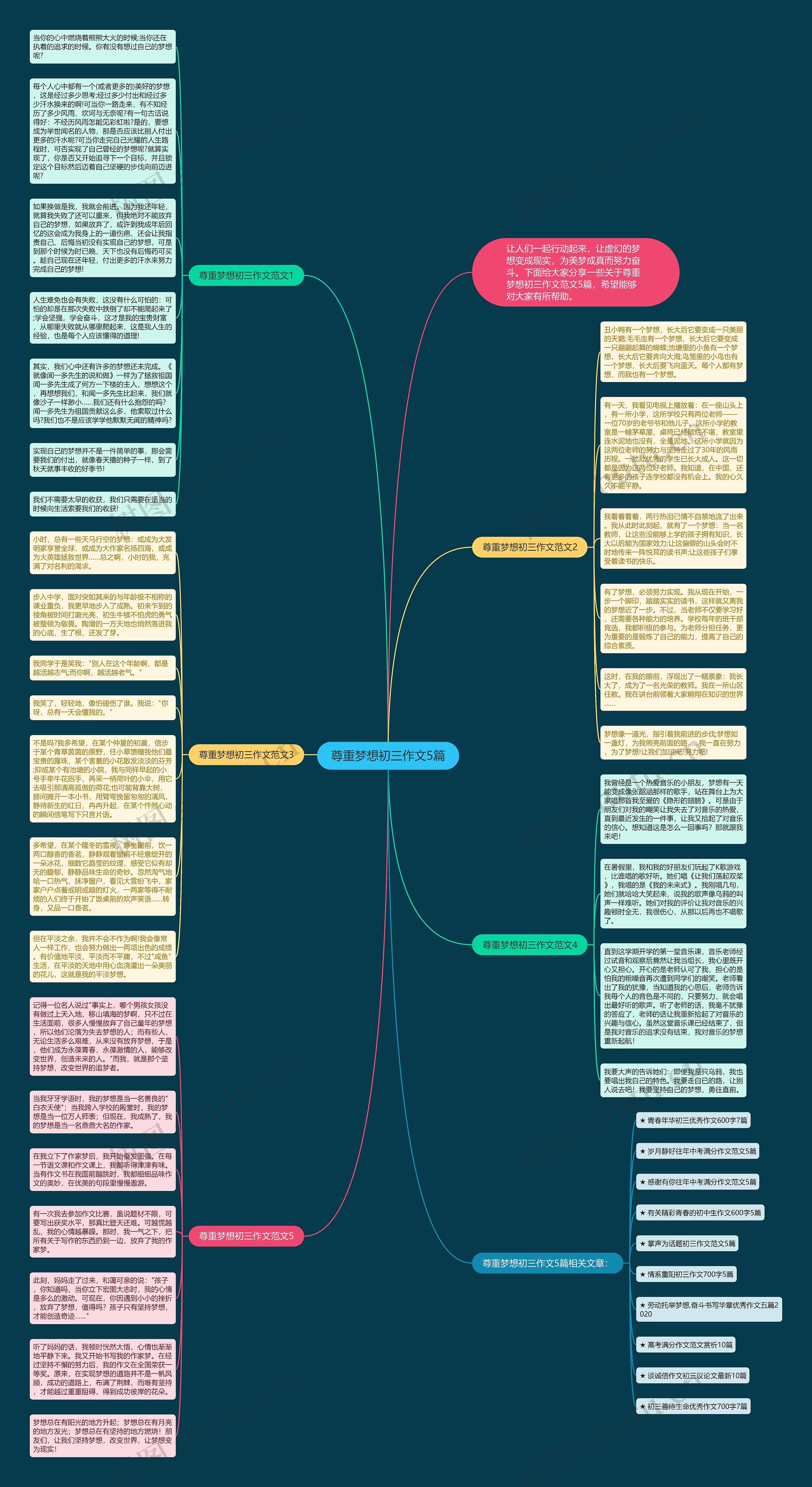 尊重梦想初三作文5篇思维导图