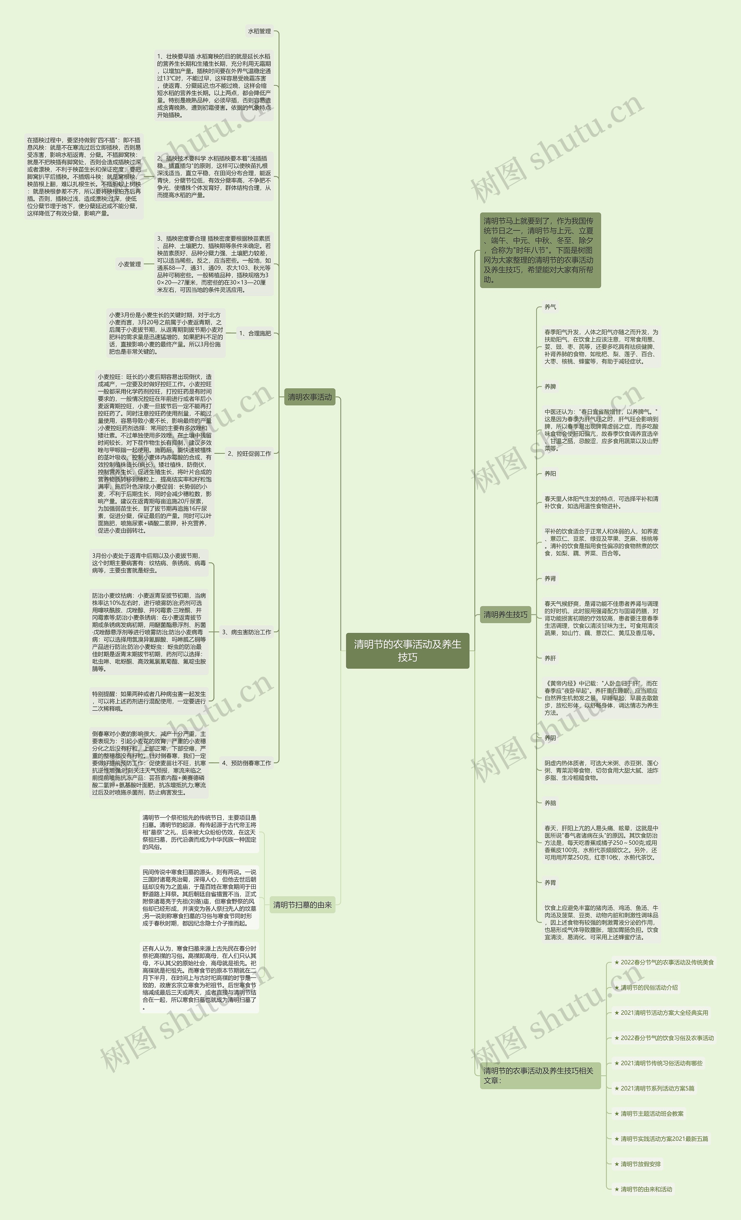 清明节的农事活动及养生技巧思维导图