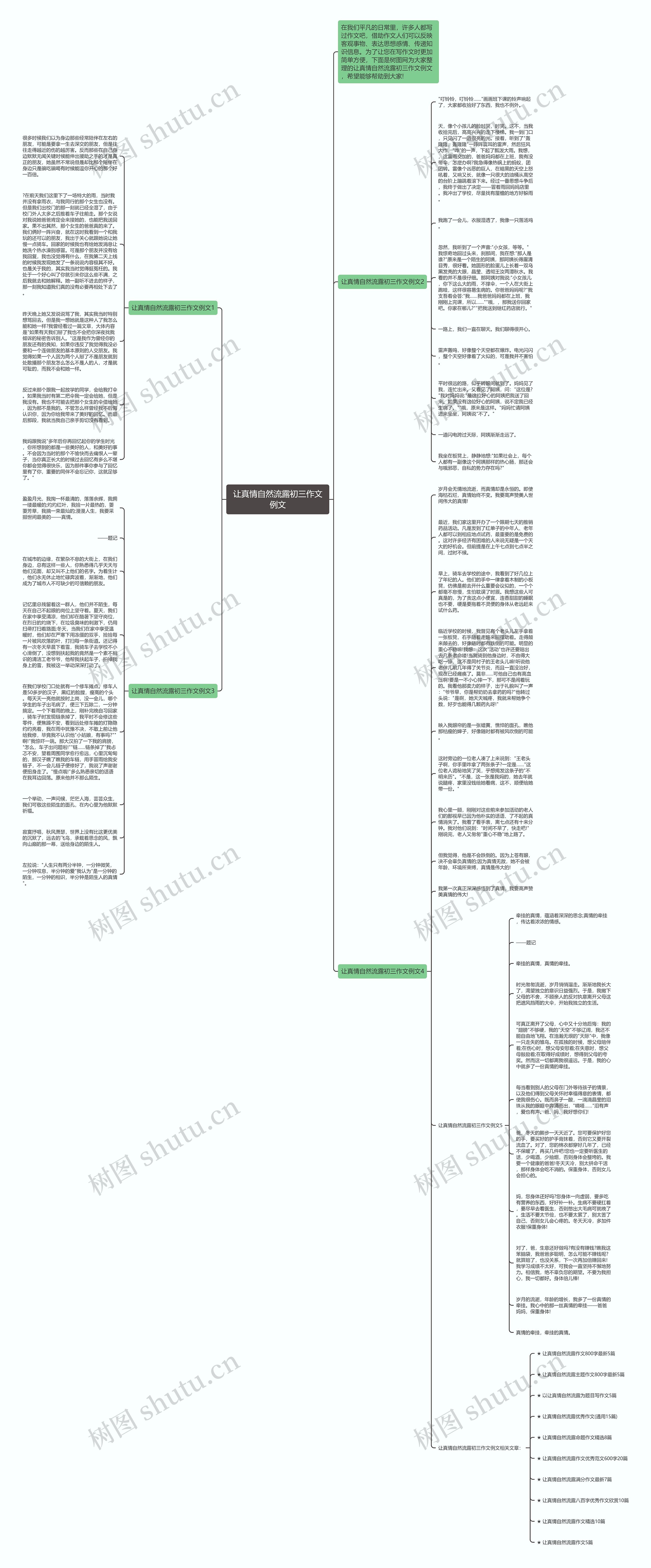 让真情自然流露初三作文例文思维导图