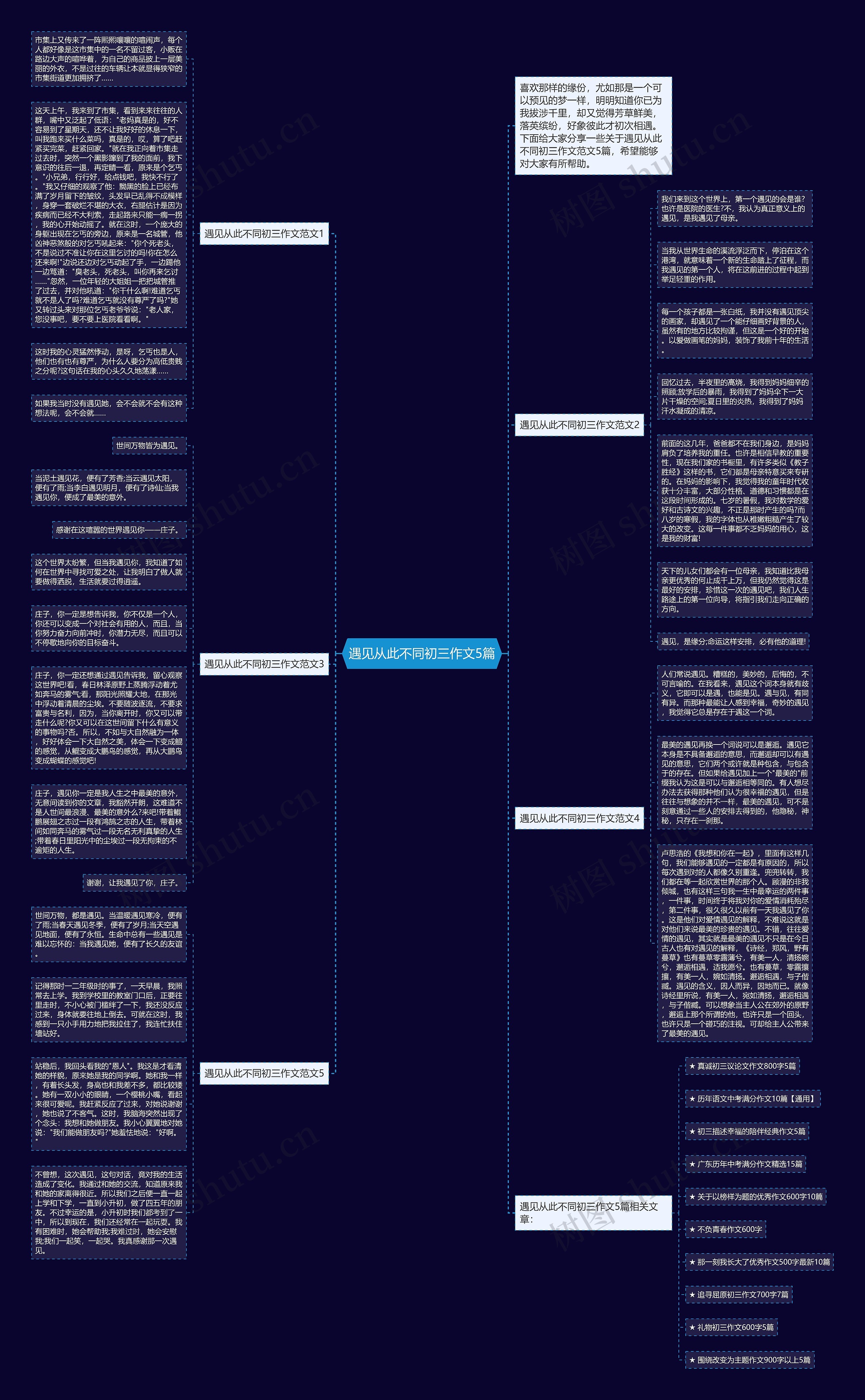 遇见从此不同初三作文5篇思维导图