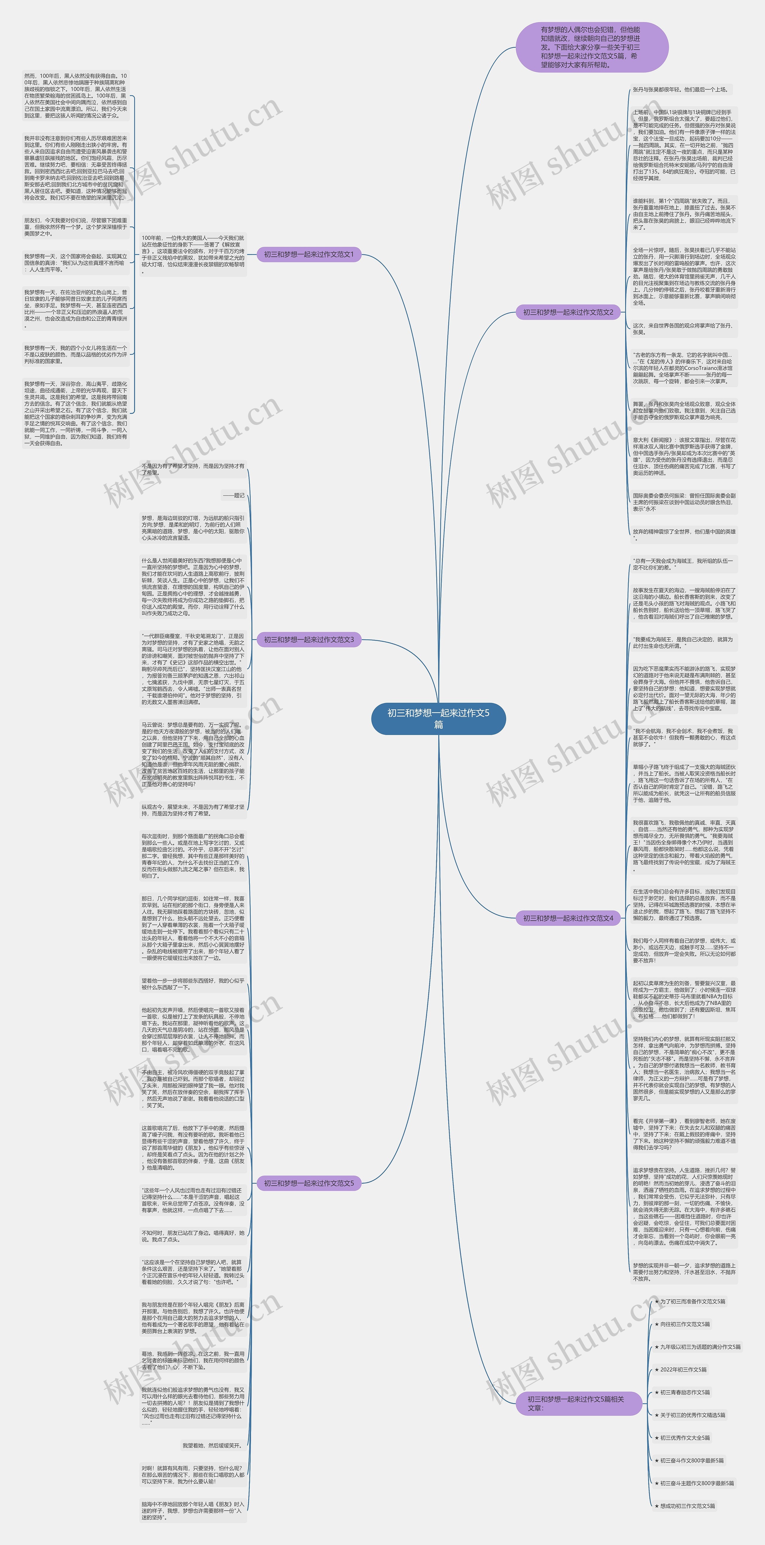 初三和梦想一起来过作文5篇思维导图
