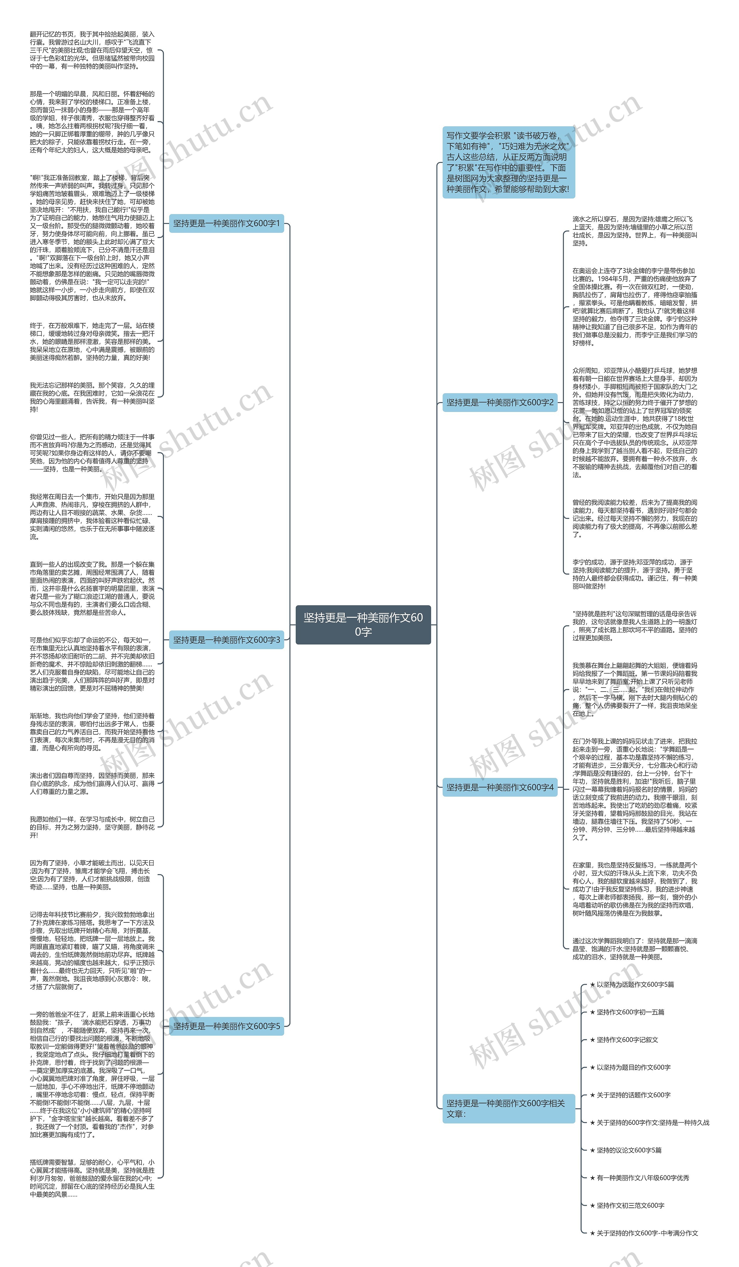 坚持更是一种美丽作文600字思维导图