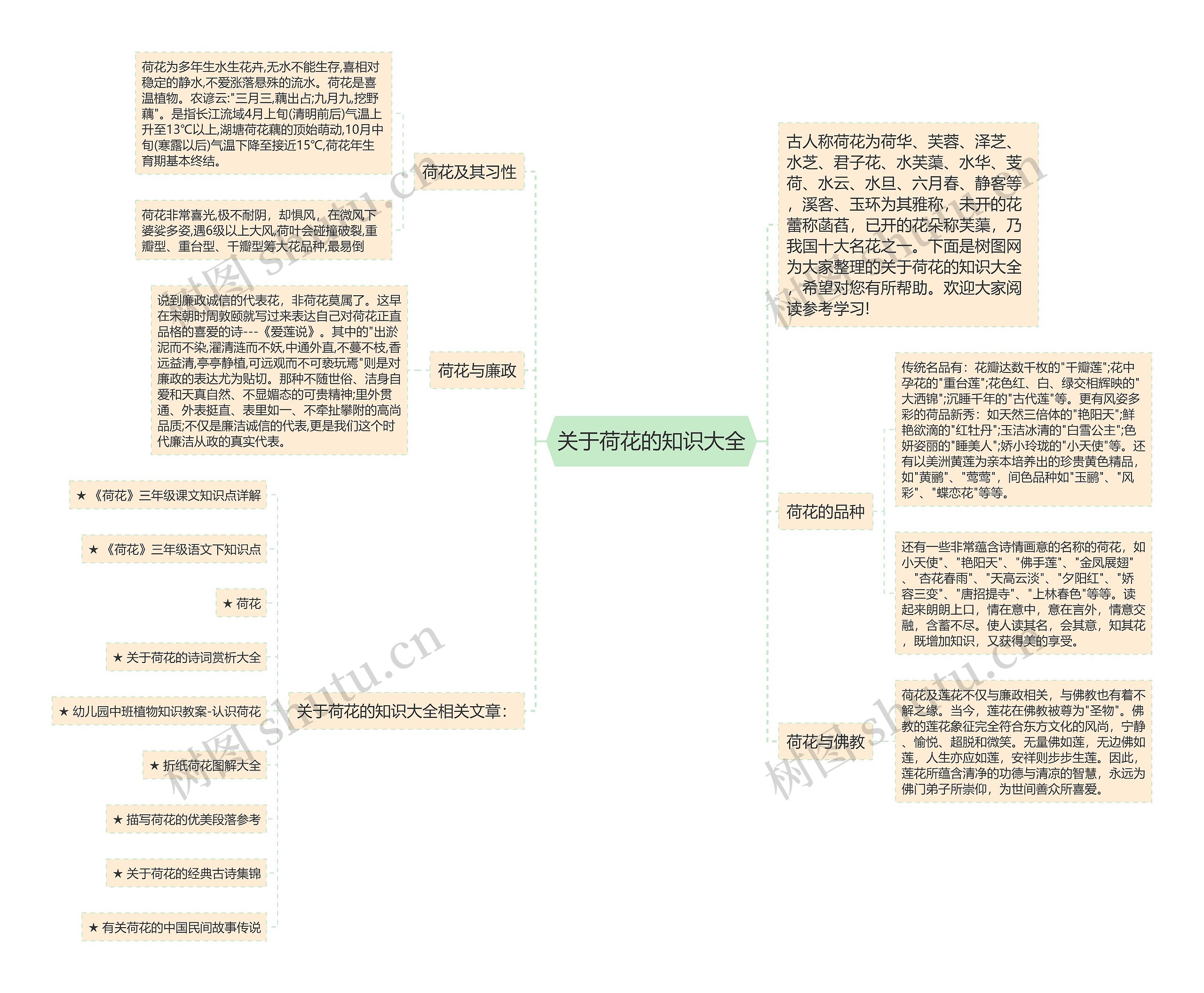 关于荷花的知识大全思维导图