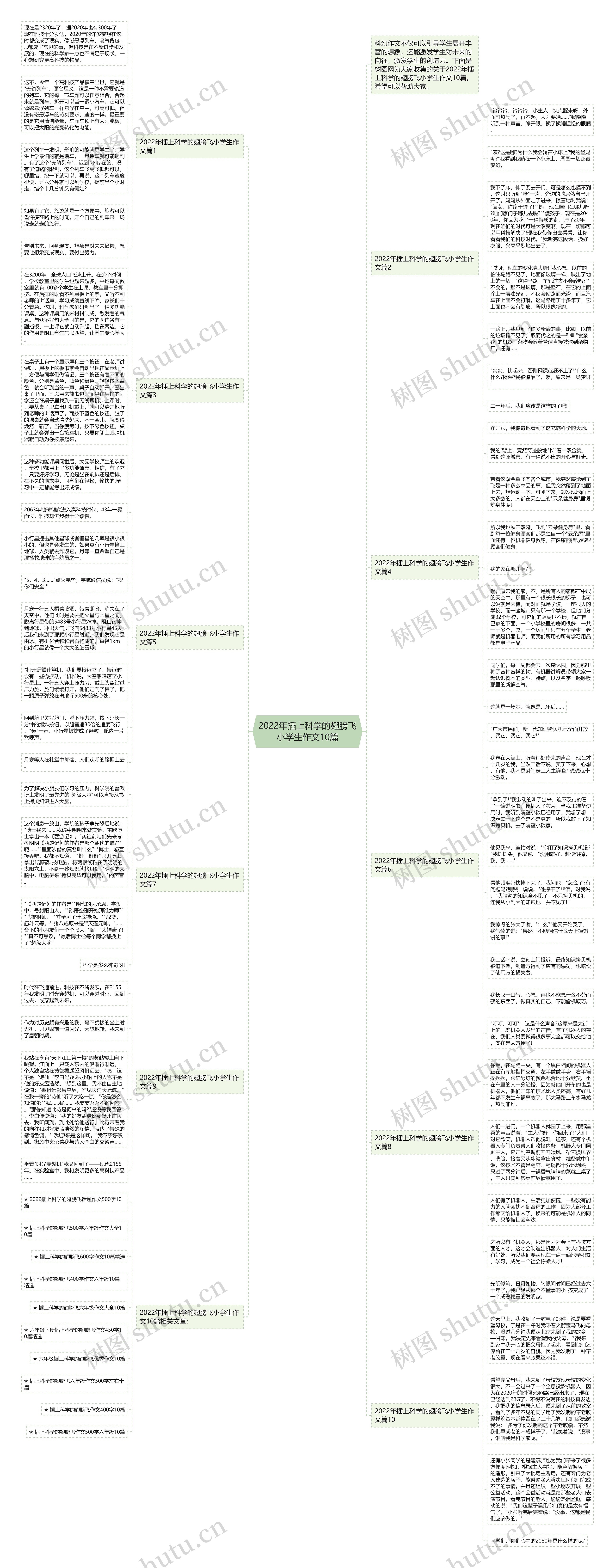 2022年插上科学的翅膀飞小学生作文10篇思维导图