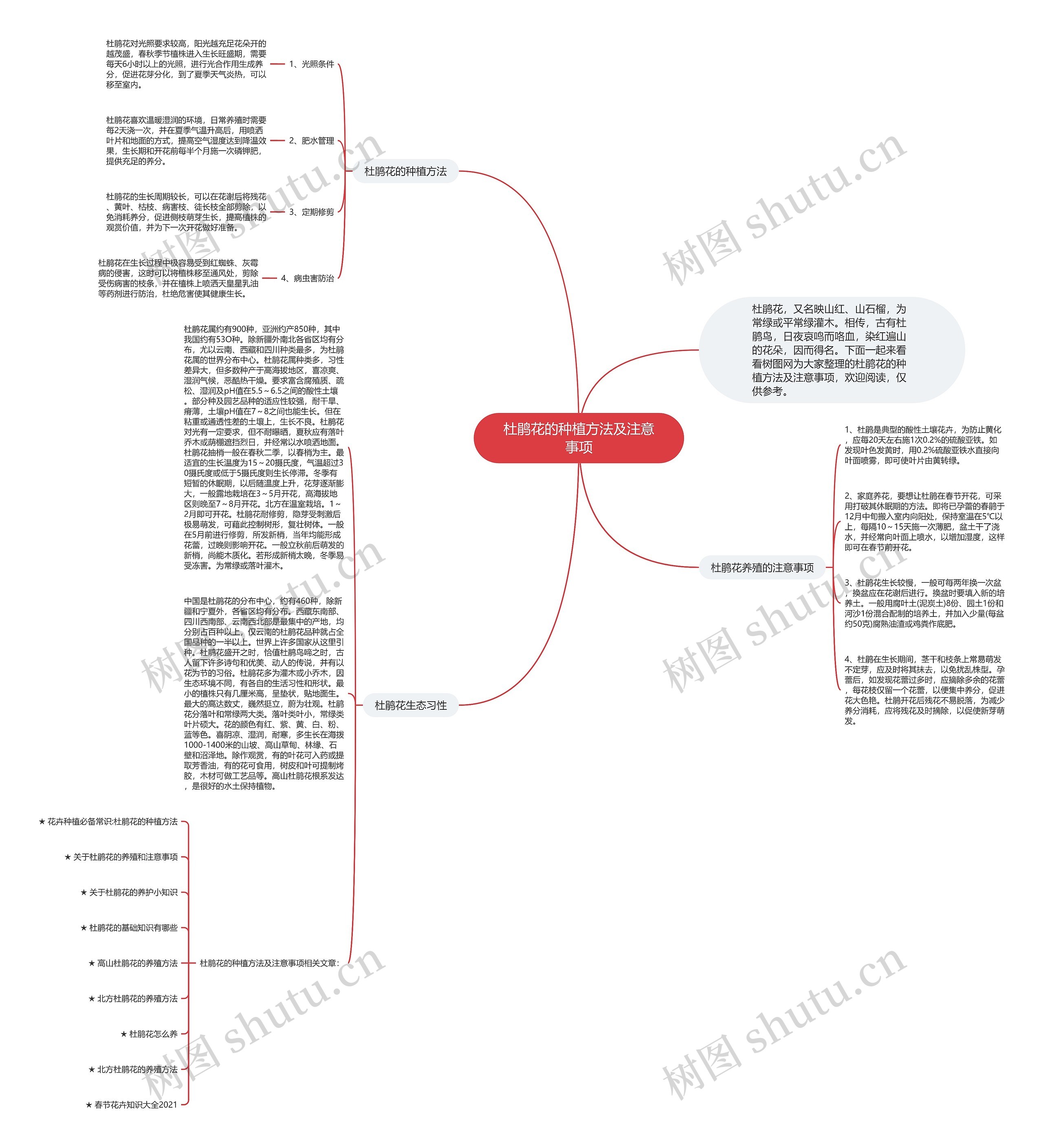 杜鹃花的种植方法及注意事项思维导图