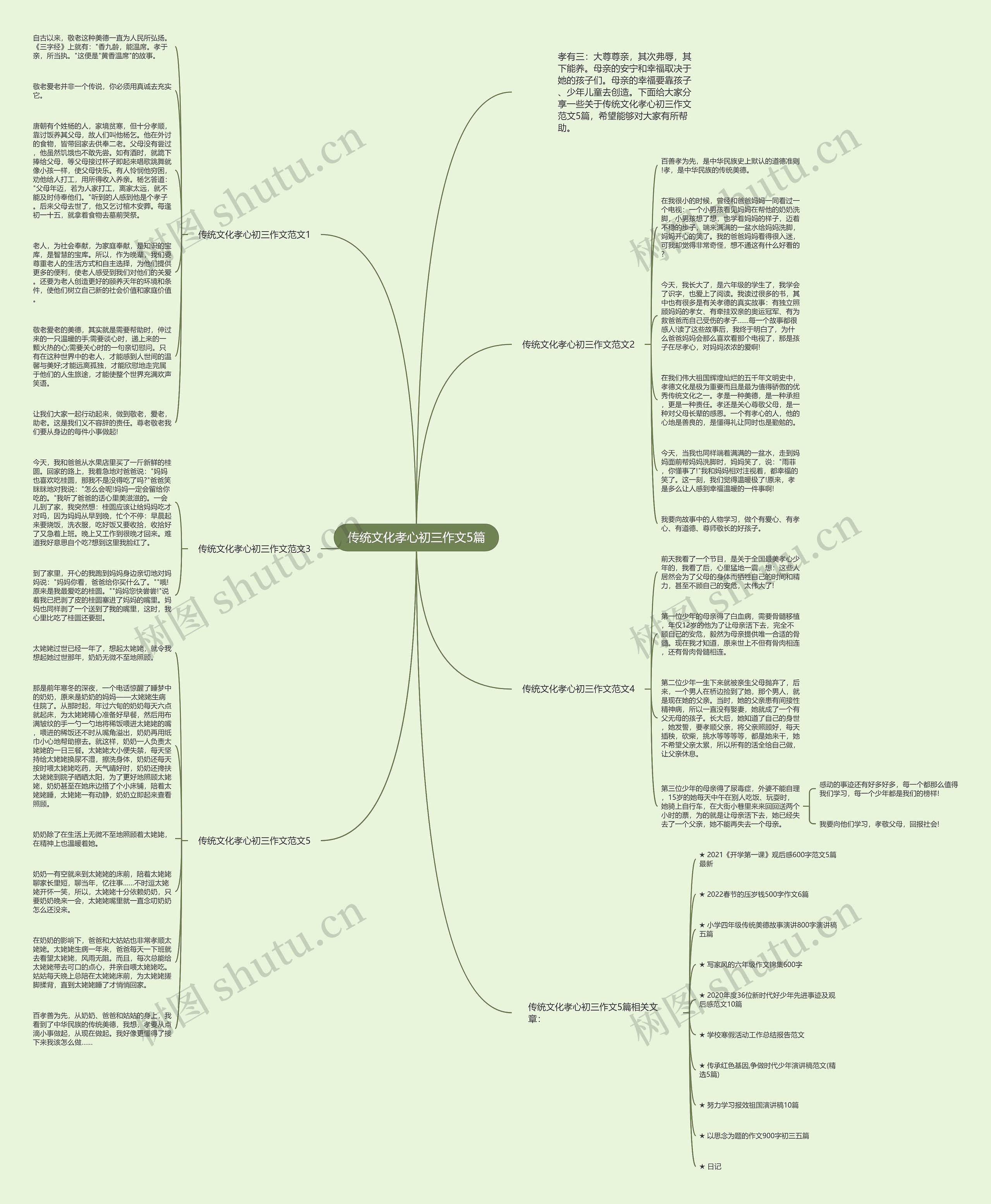 传统文化孝心初三作文5篇思维导图