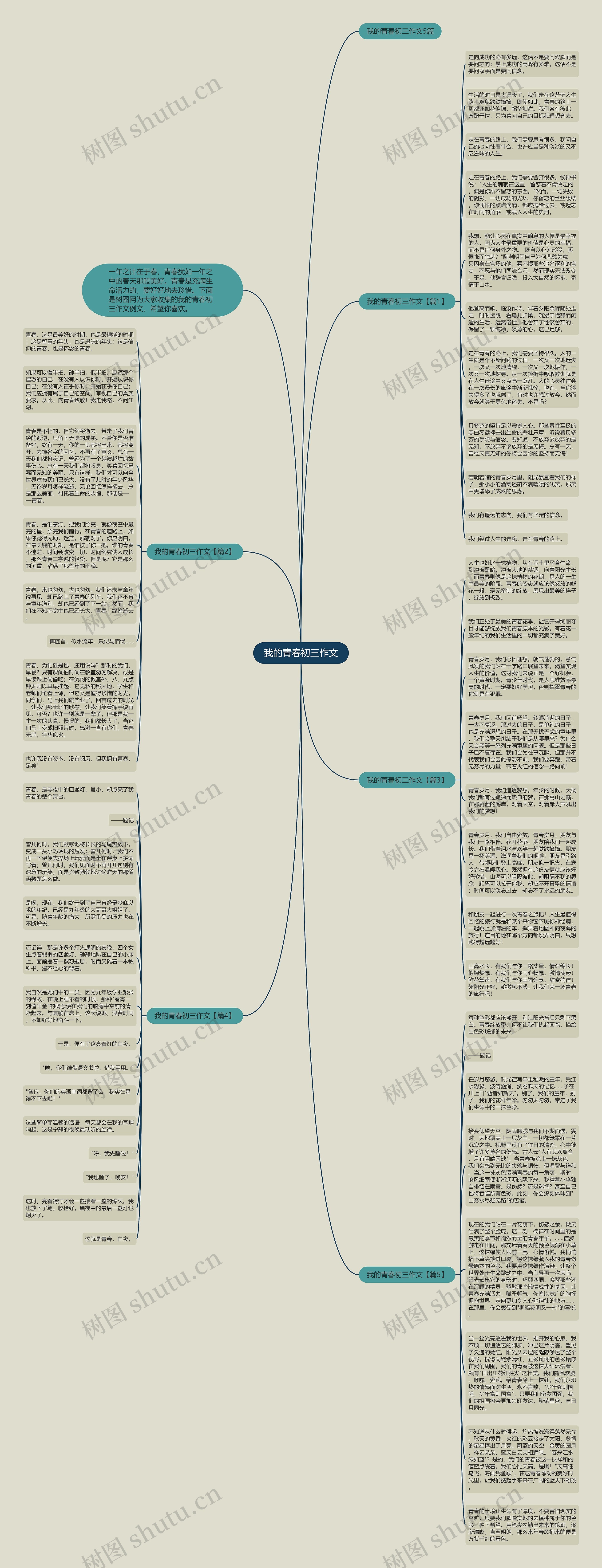 我的青春初三作文思维导图