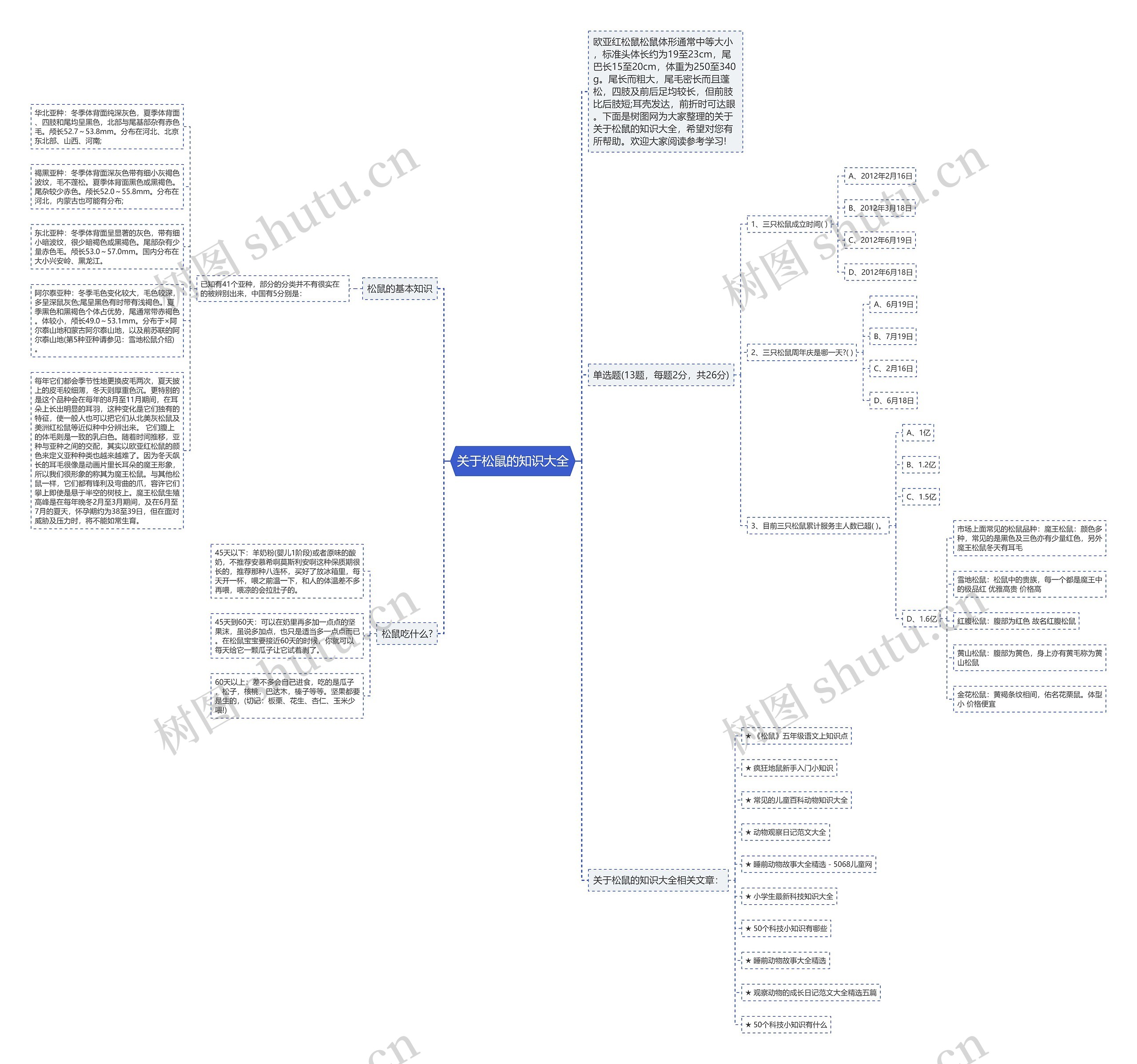 关于松鼠的知识大全思维导图