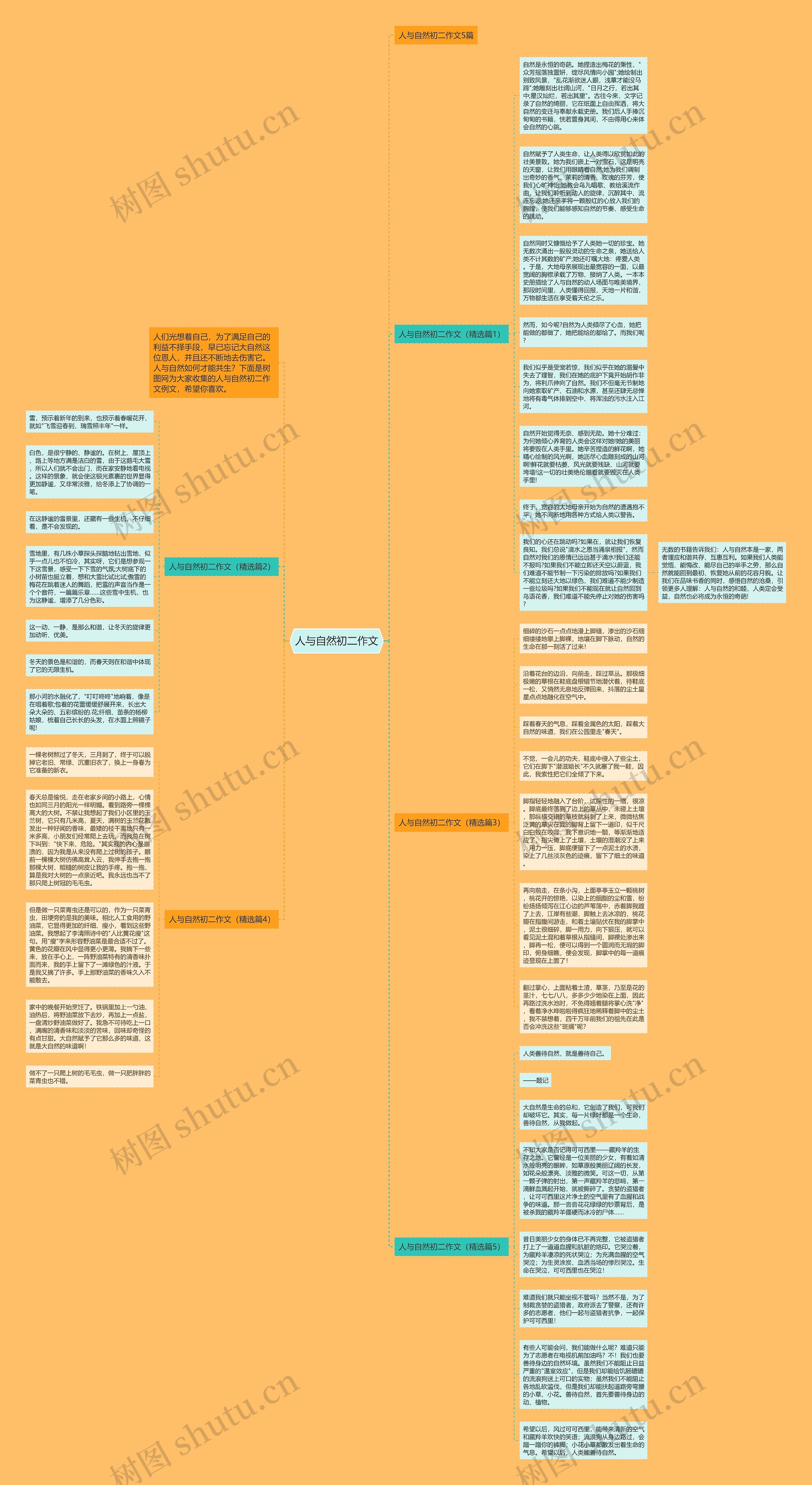 人与自然初二作文思维导图