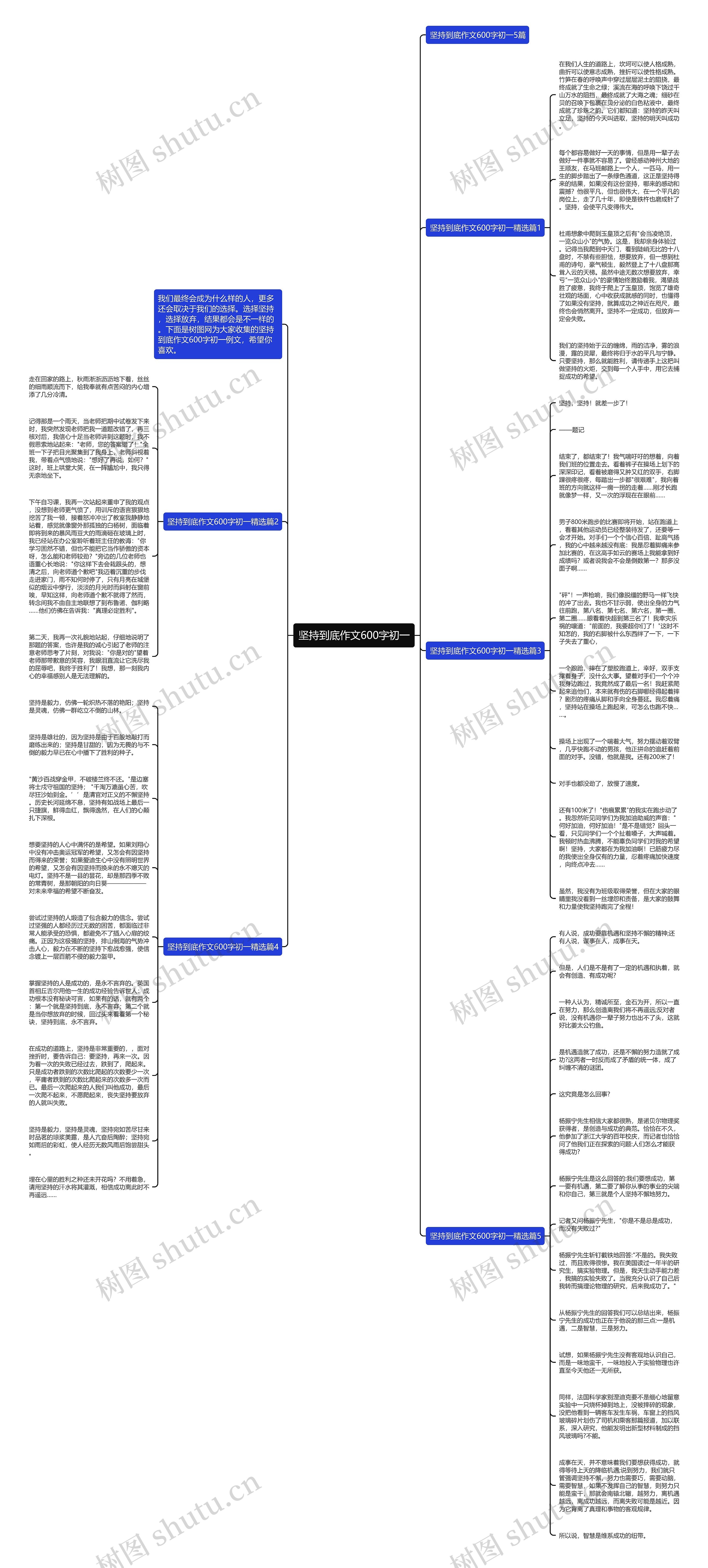 坚持到底作文600字初一思维导图