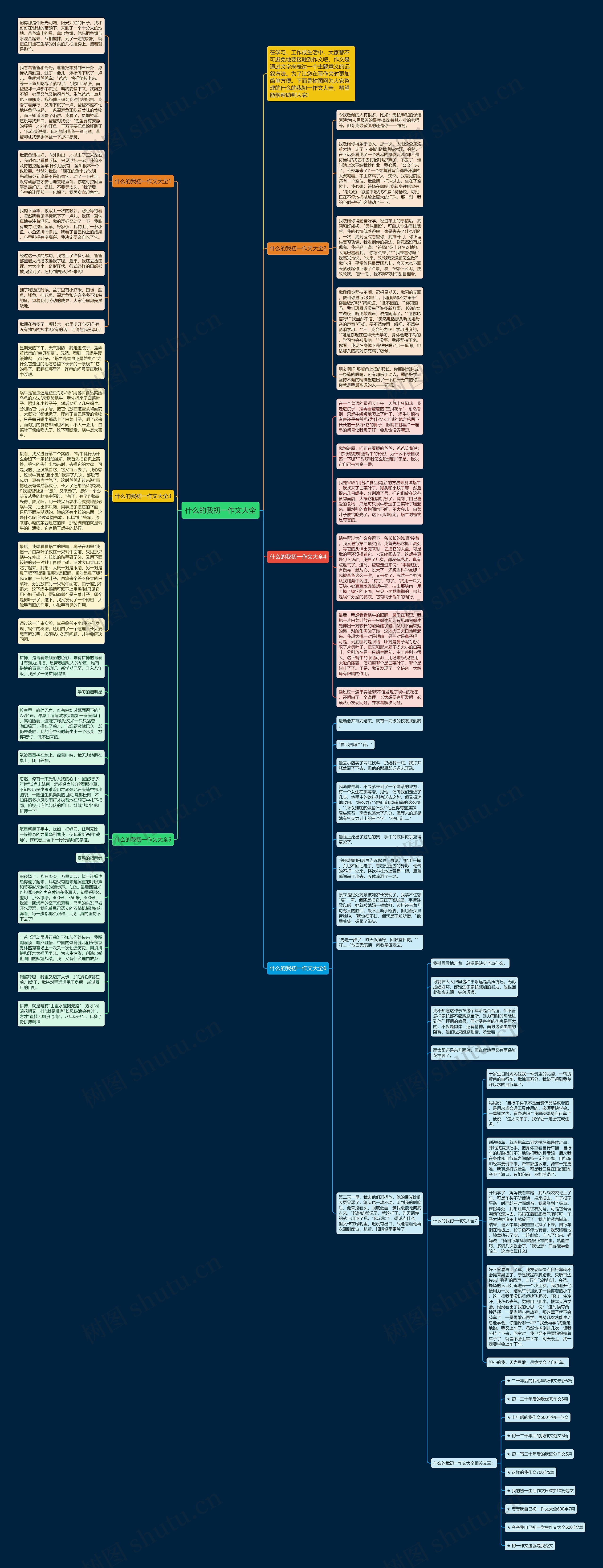 什么的我初一作文大全思维导图