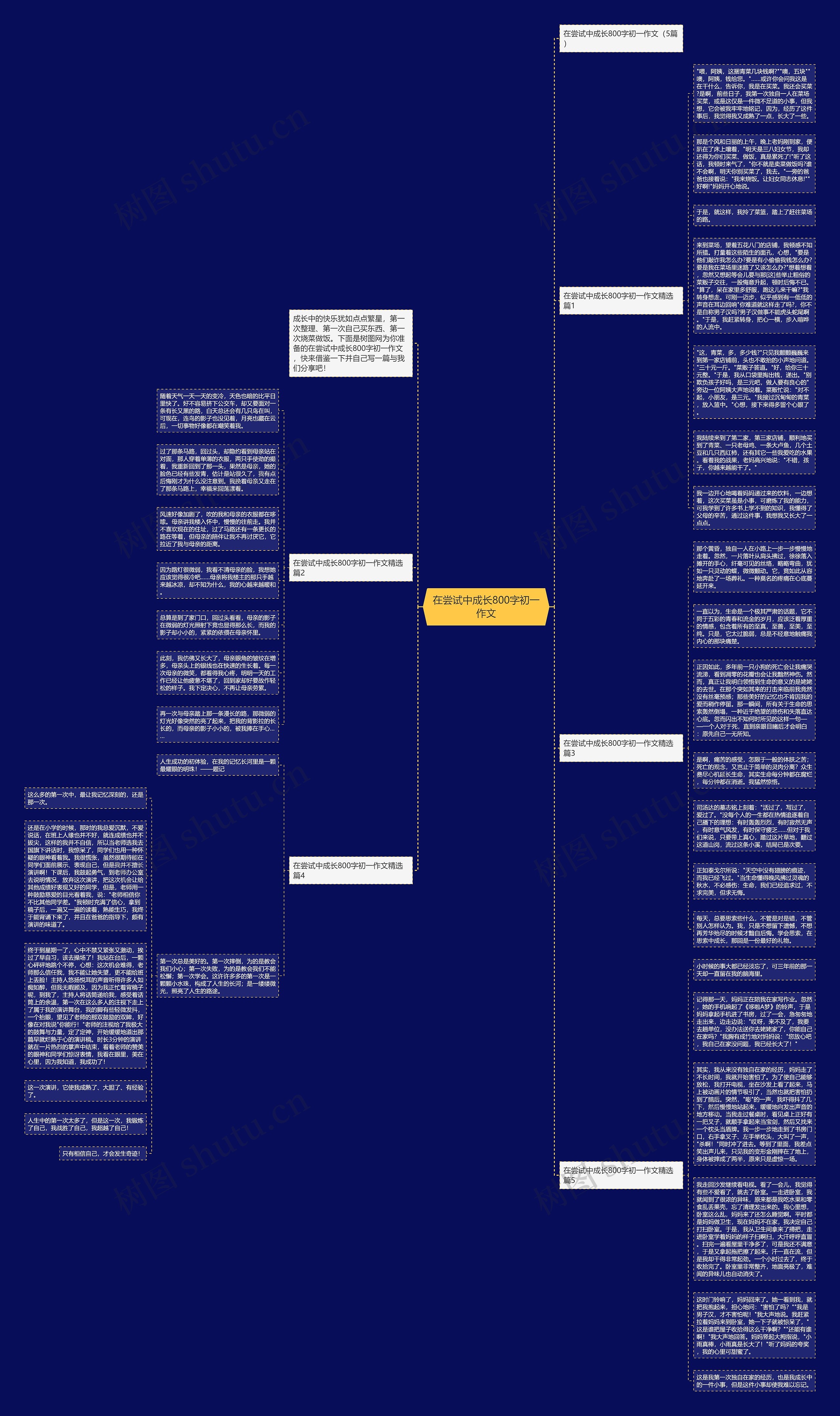 在尝试中成长800字初一作文思维导图