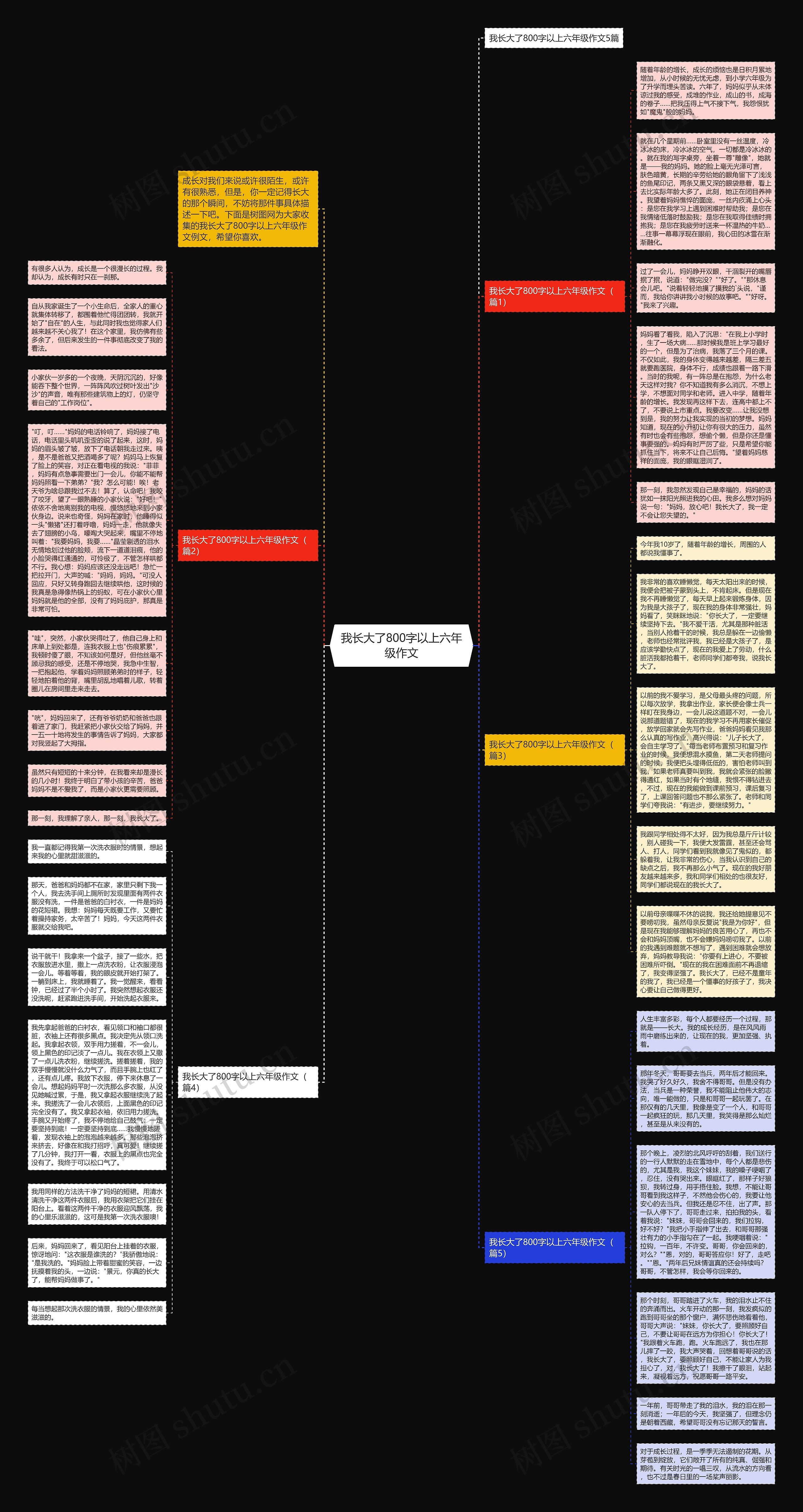 我长大了800字以上六年级作文