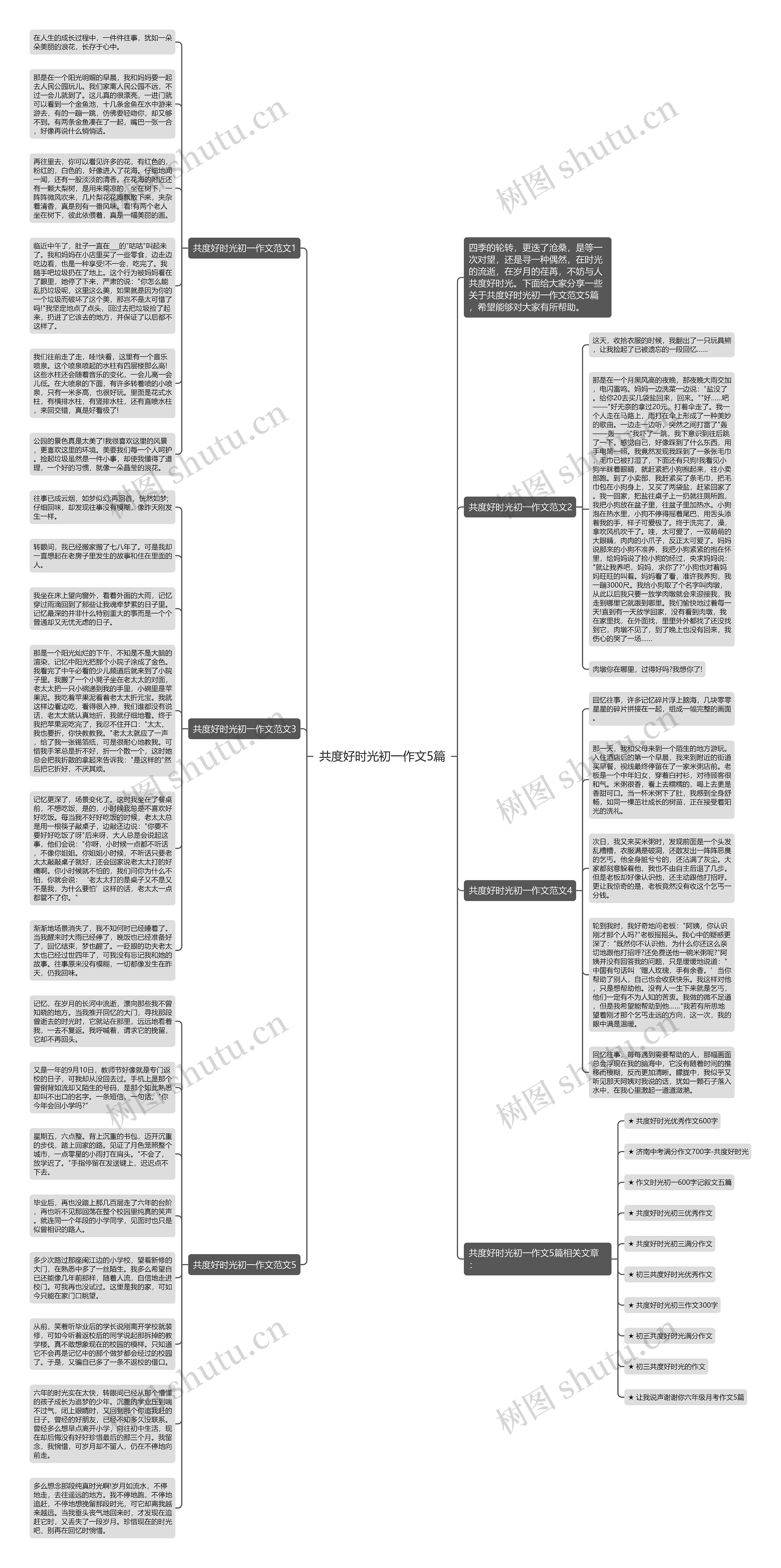 共度好时光初一作文5篇思维导图