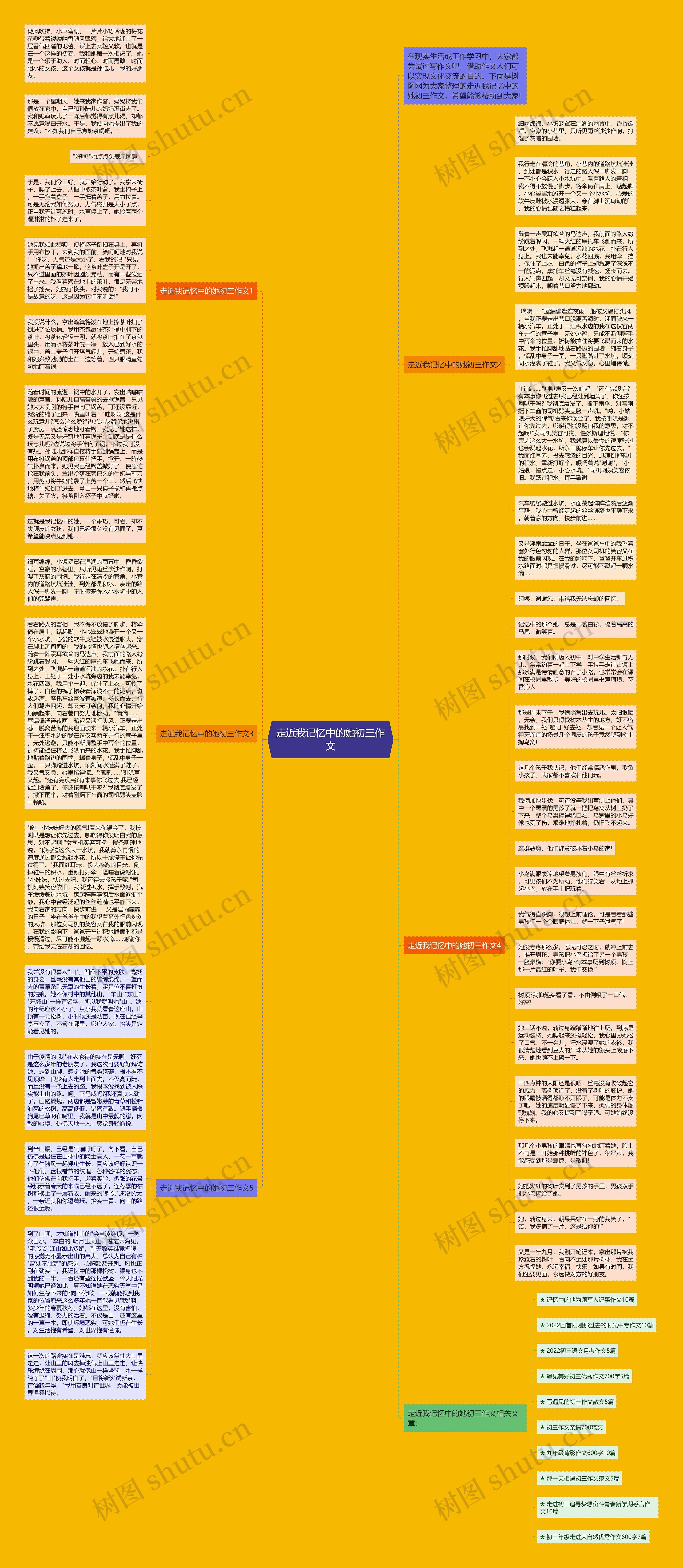 走近我记忆中的她初三作文思维导图