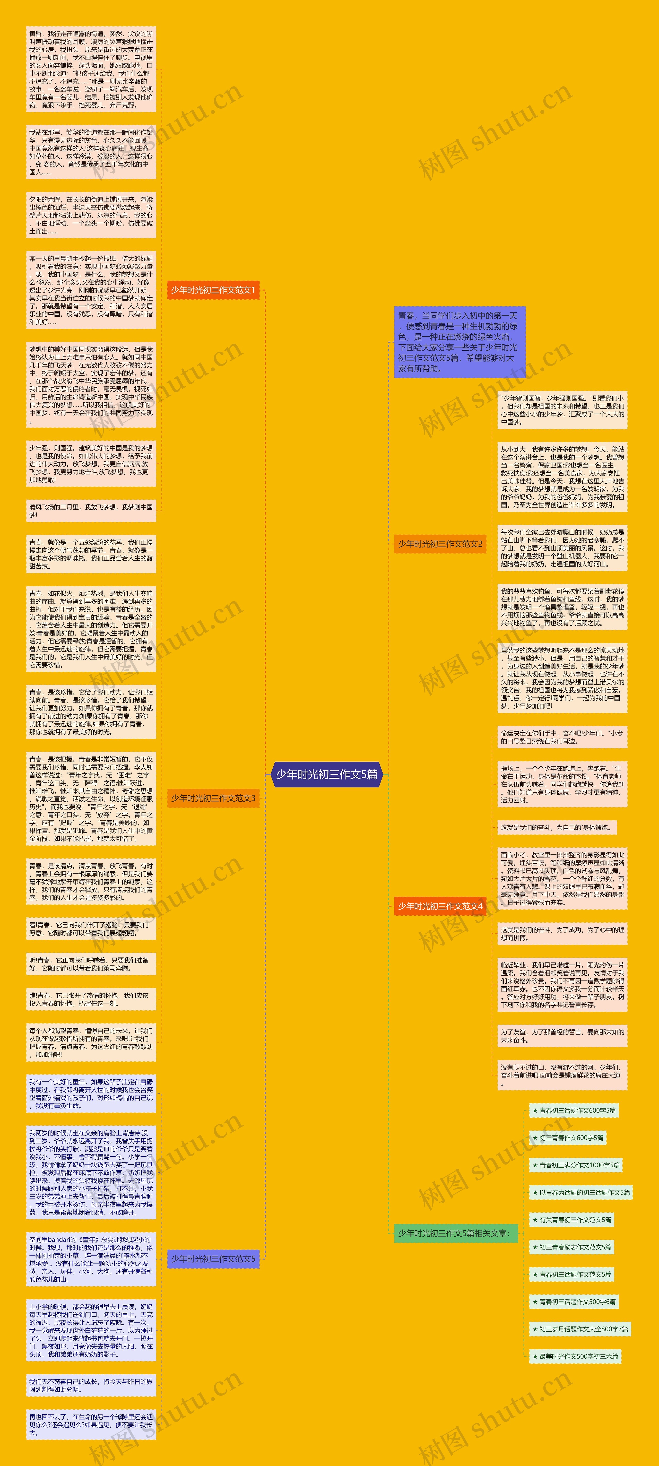 少年时光初三作文5篇思维导图