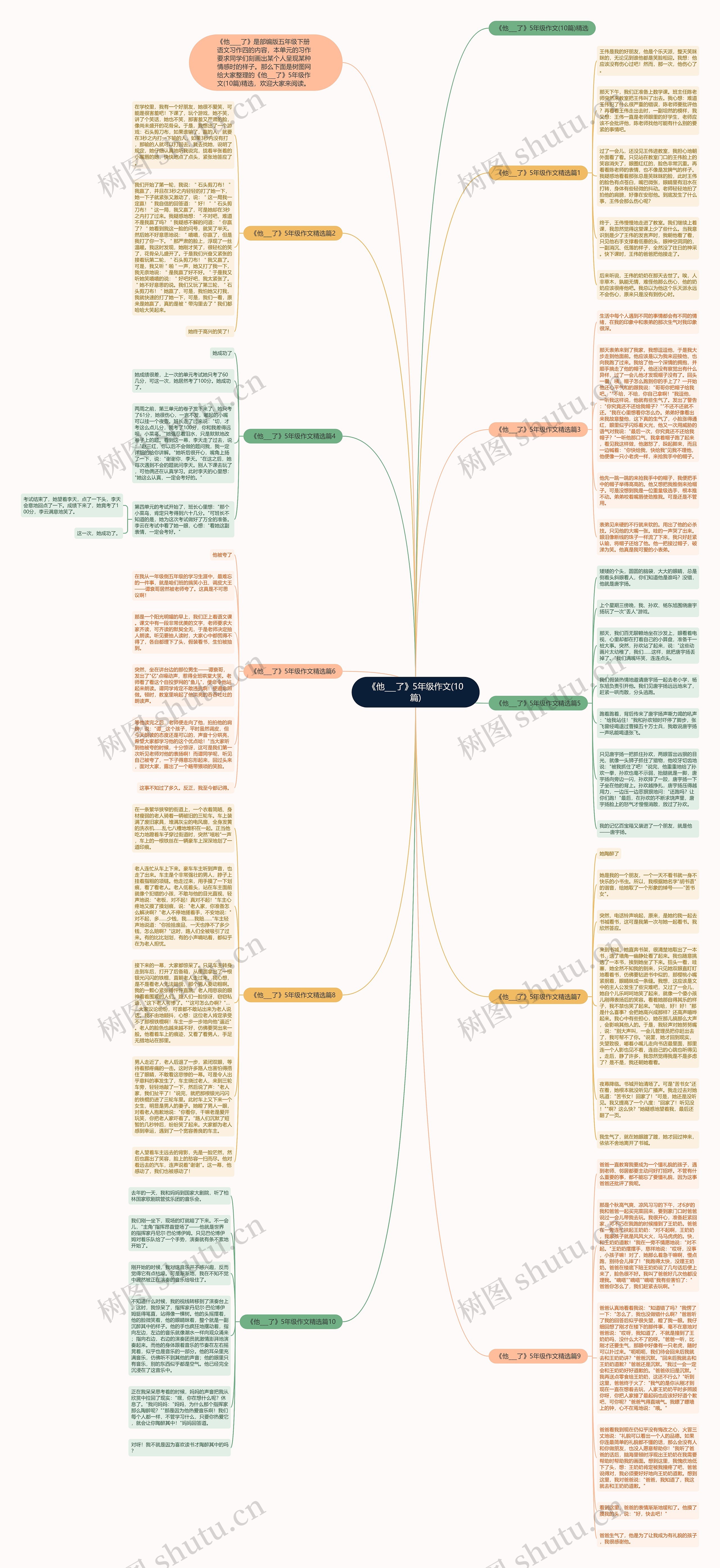 《他___了》5年级作文(10篇)思维导图
