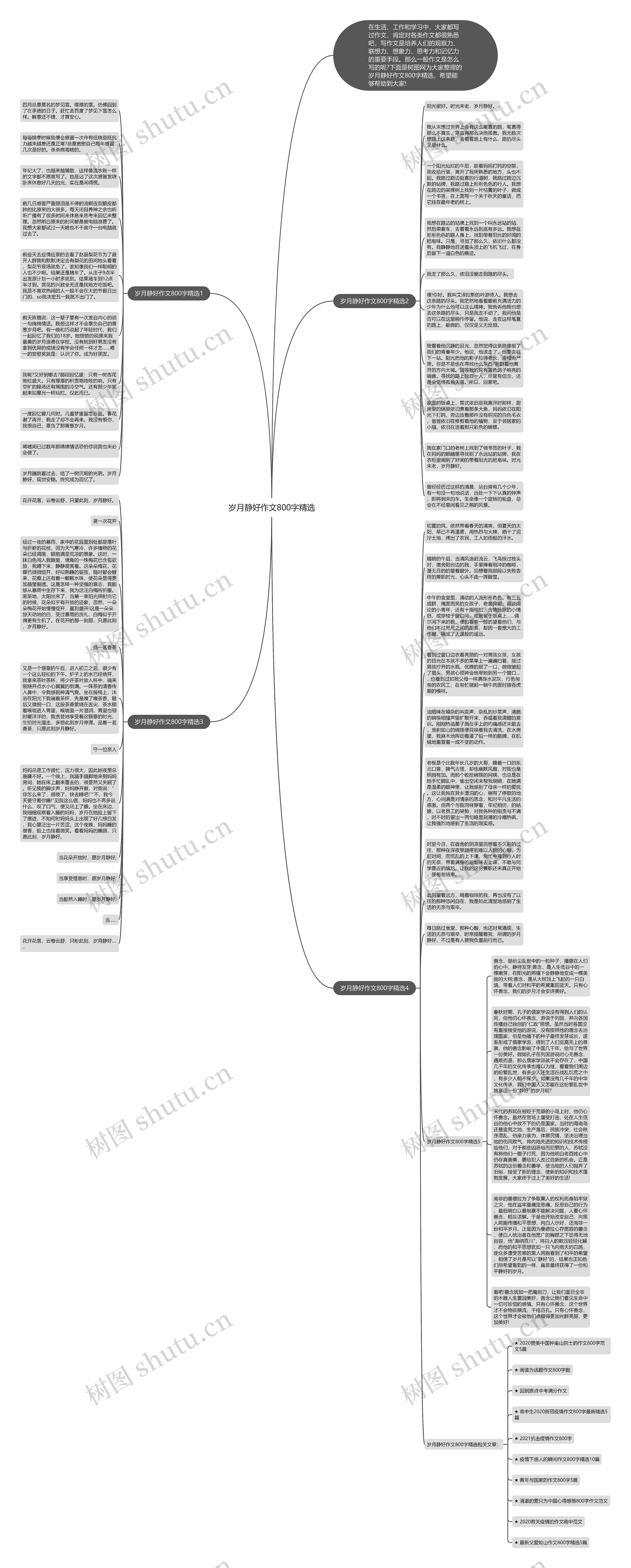 岁月静好作文800字精选思维导图