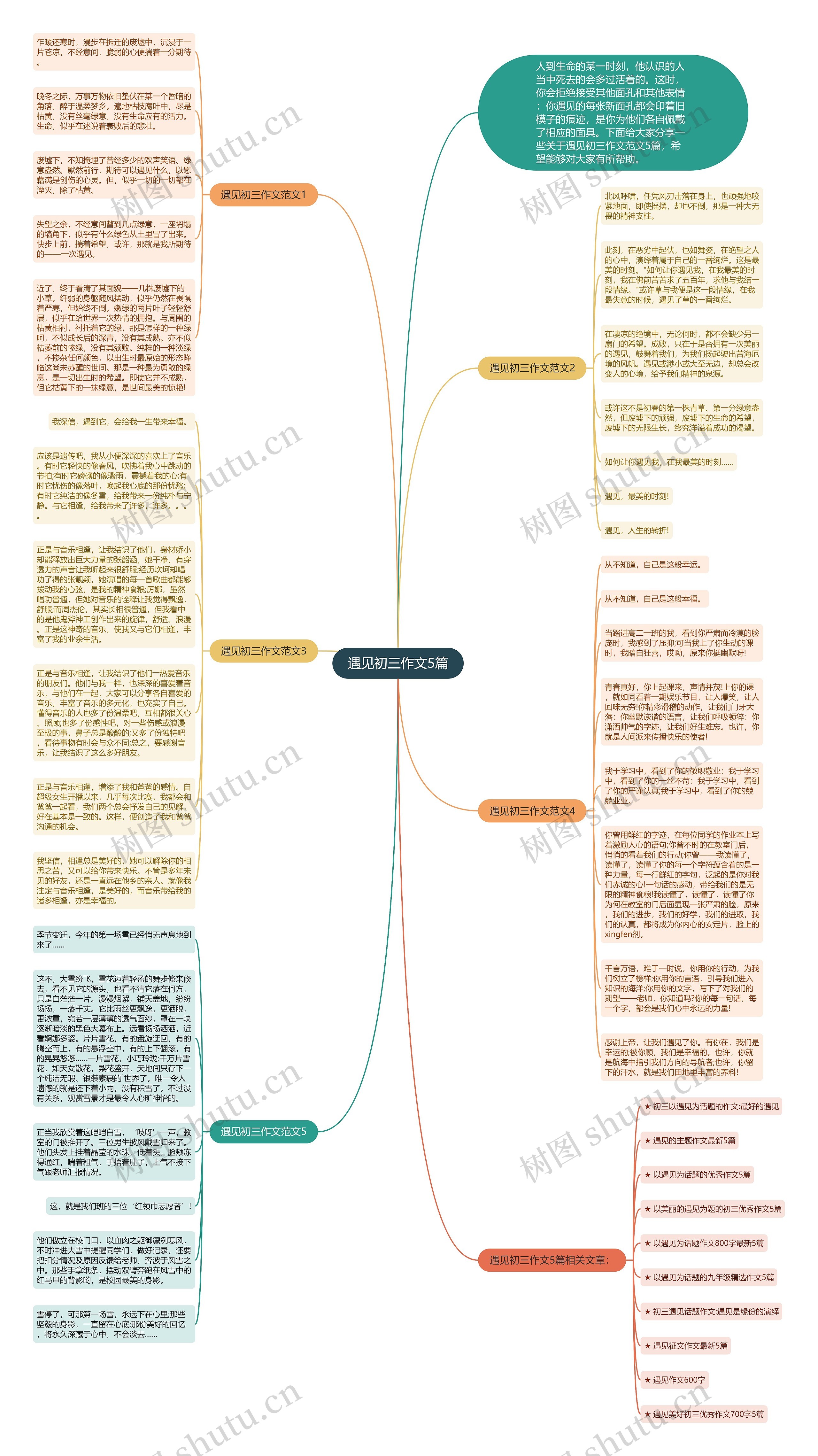 遇见初三作文5篇思维导图