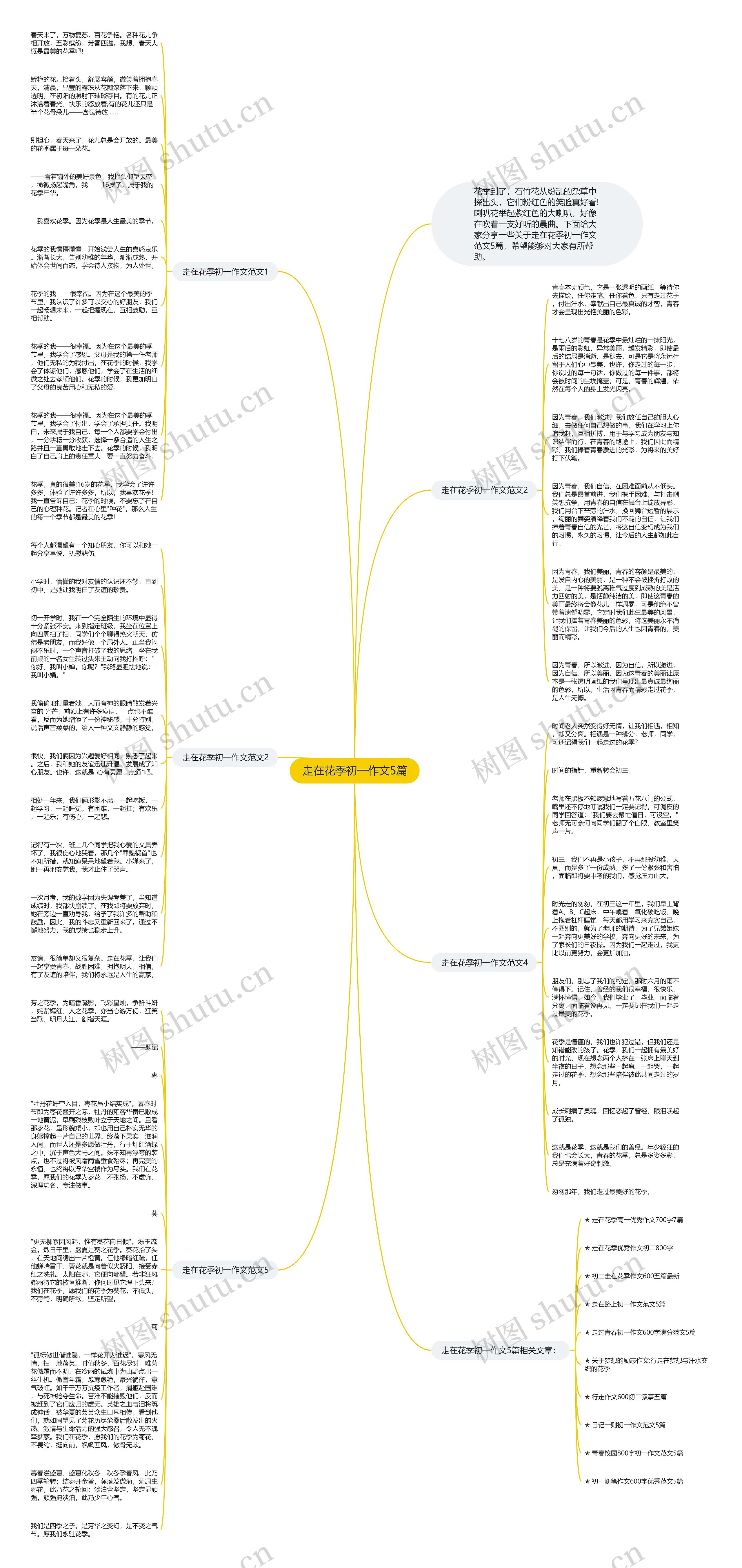 走在花季初一作文5篇思维导图