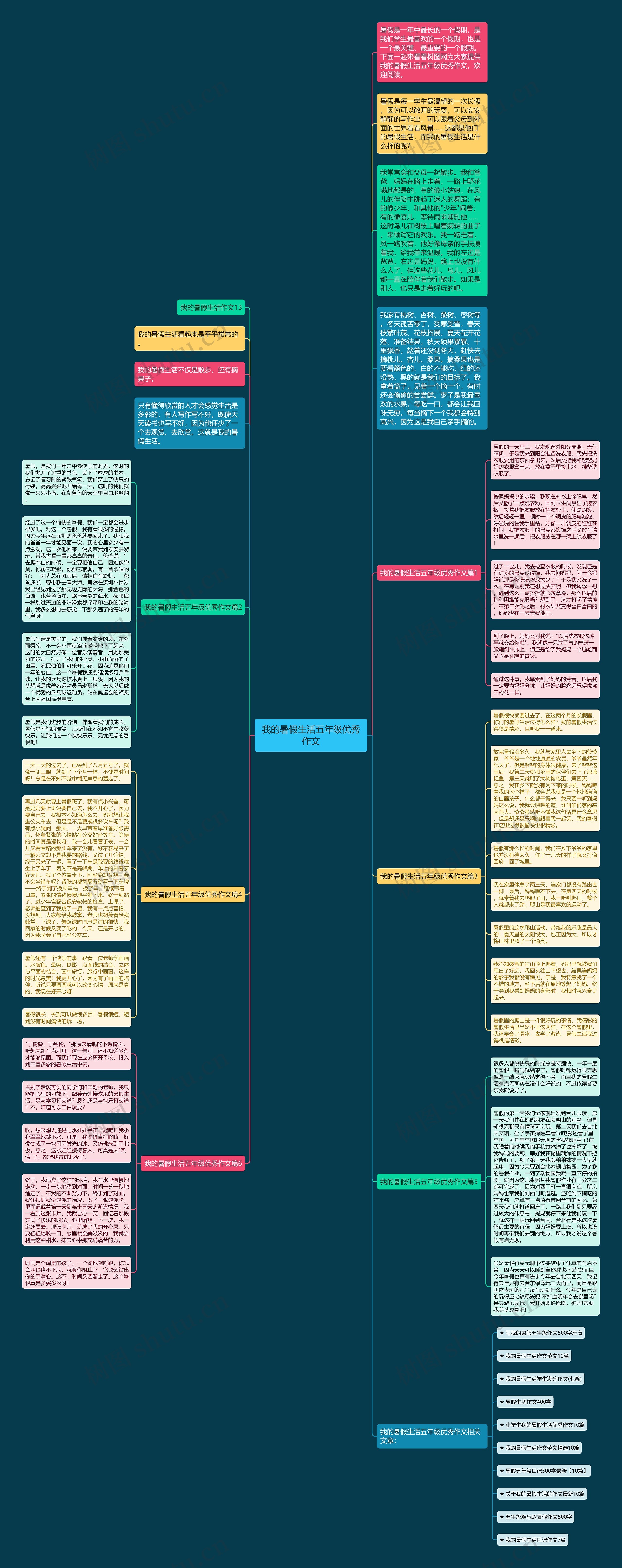 我的暑假生活五年级优秀作文思维导图