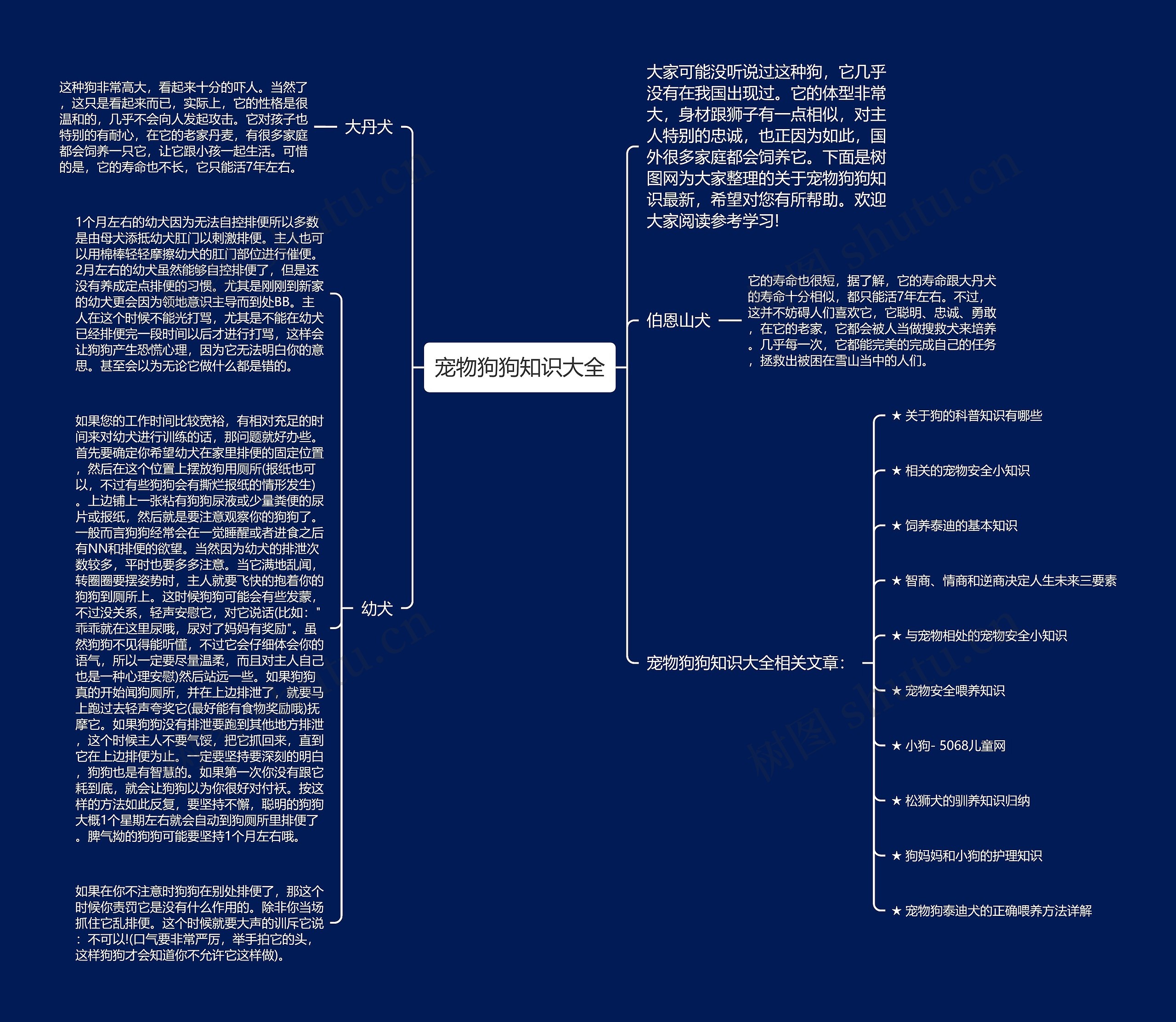 宠物狗狗知识大全思维导图